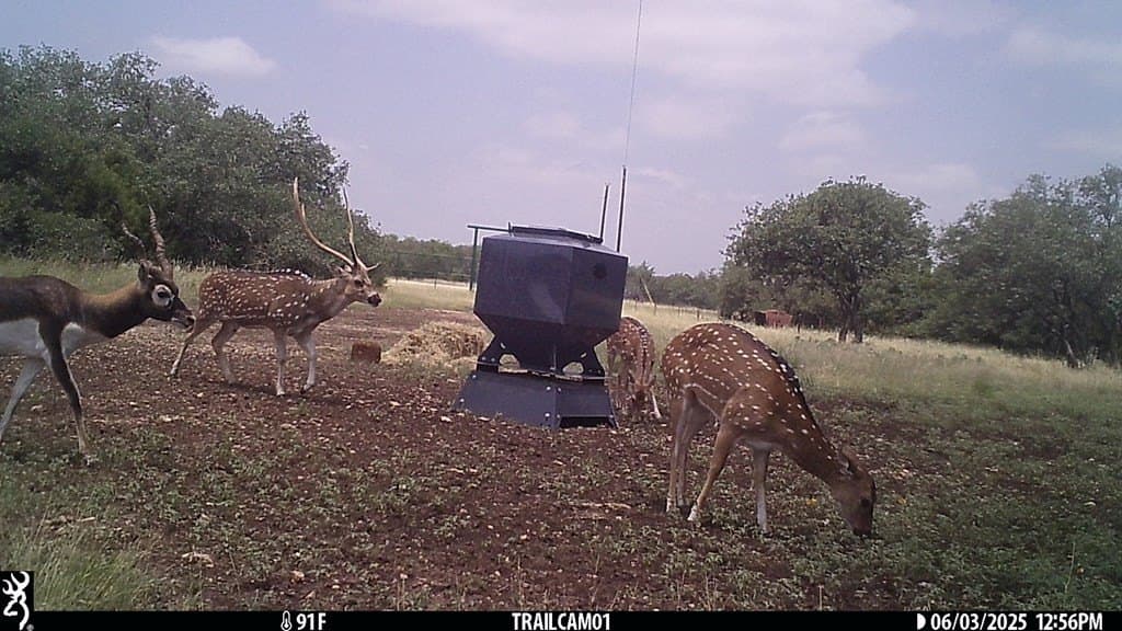 44.52 acres in Real County - photo 20