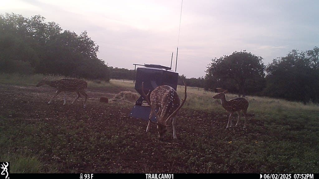 44.52 acres in Real County - photo 24