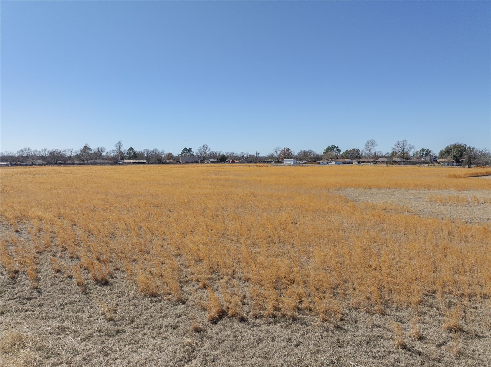 11.9 acres in Grayson County - photo 14