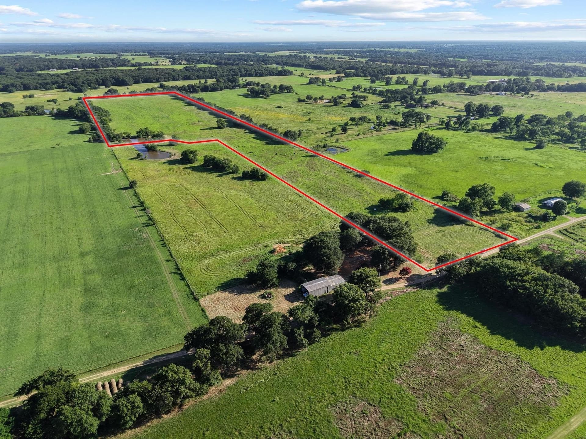 33.33 acres in Fannin County - photo 5