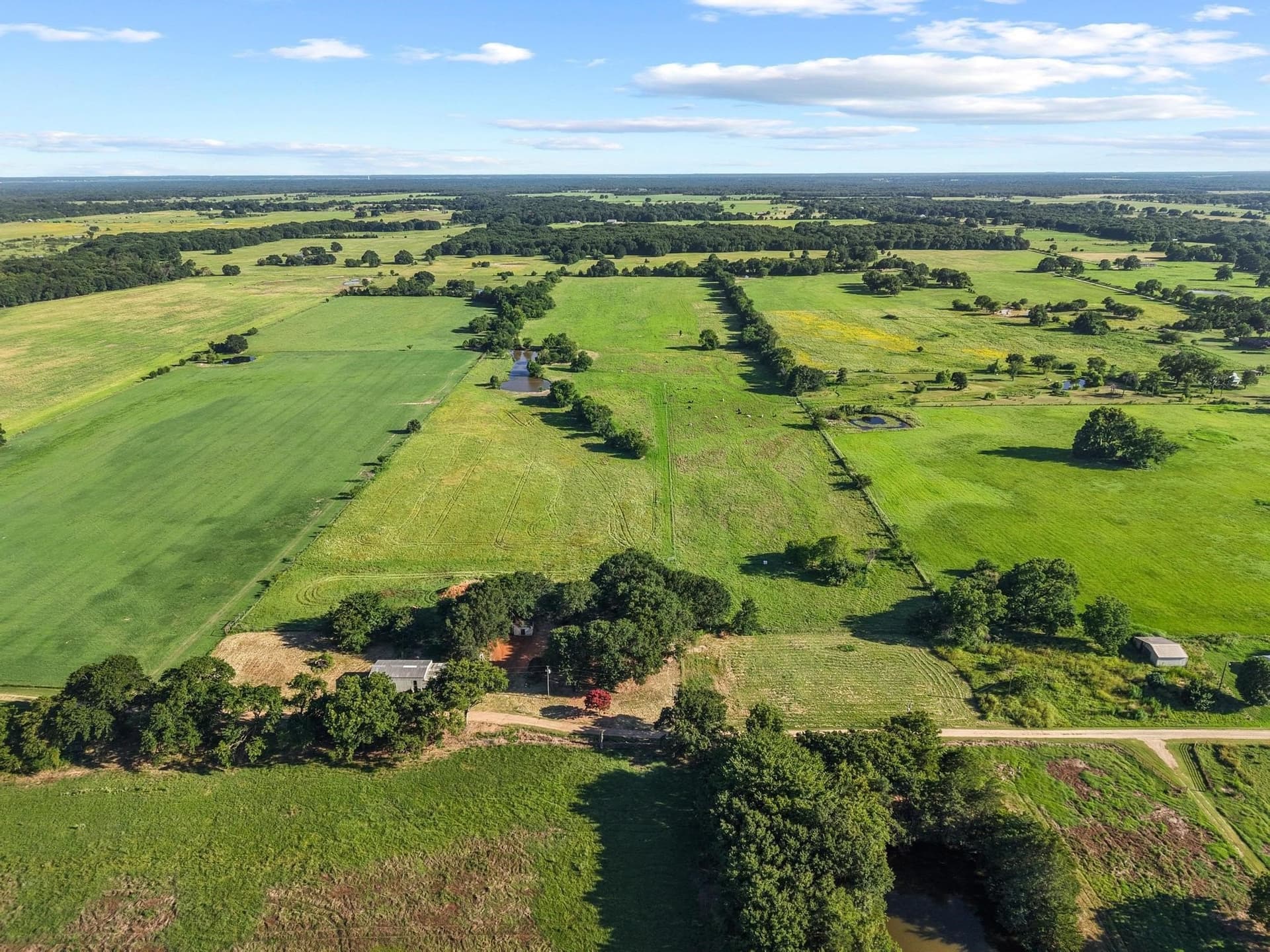 33.33 acres in Fannin County - photo 4