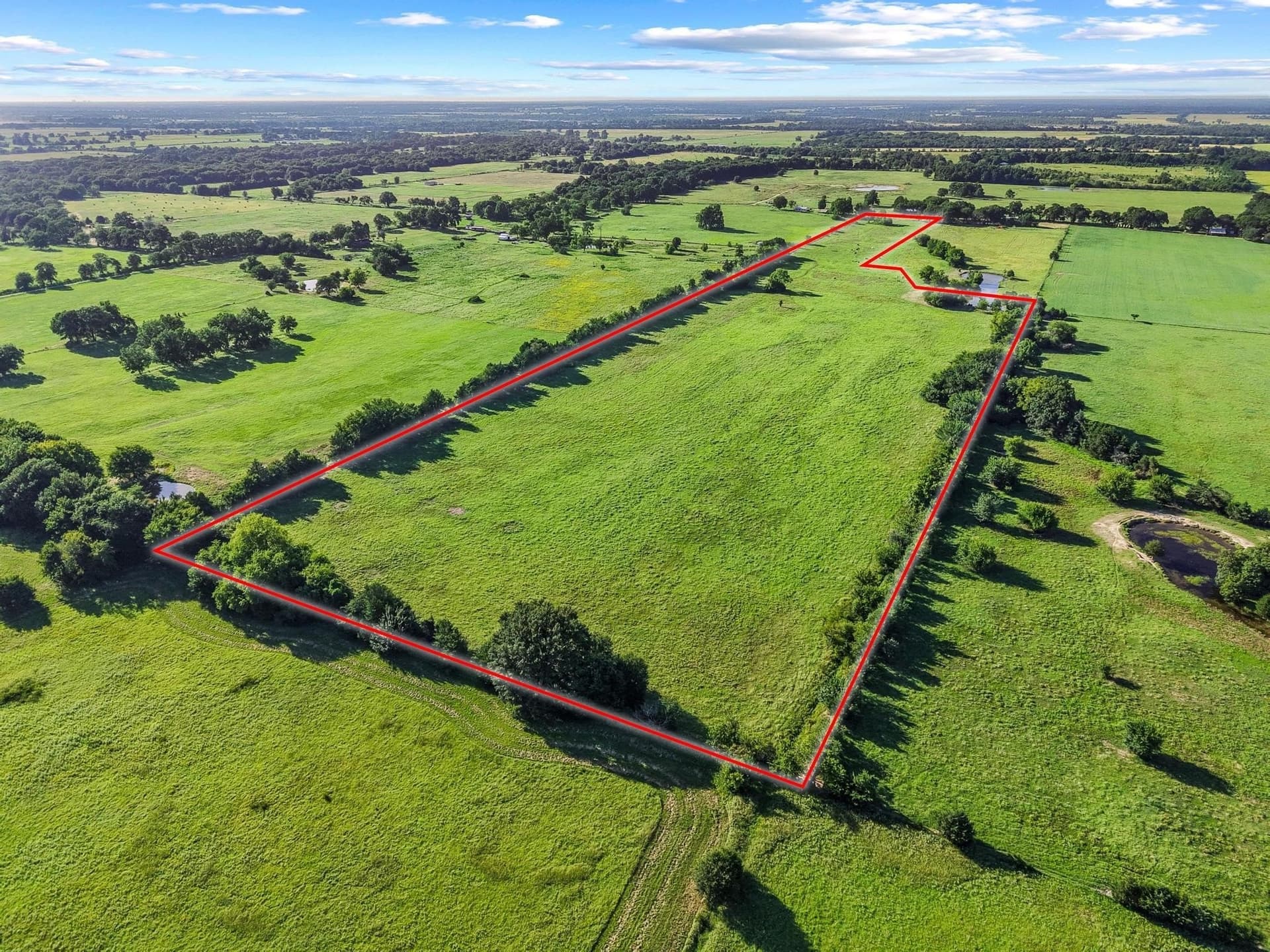 33.33 acres in Fannin County - photo 13