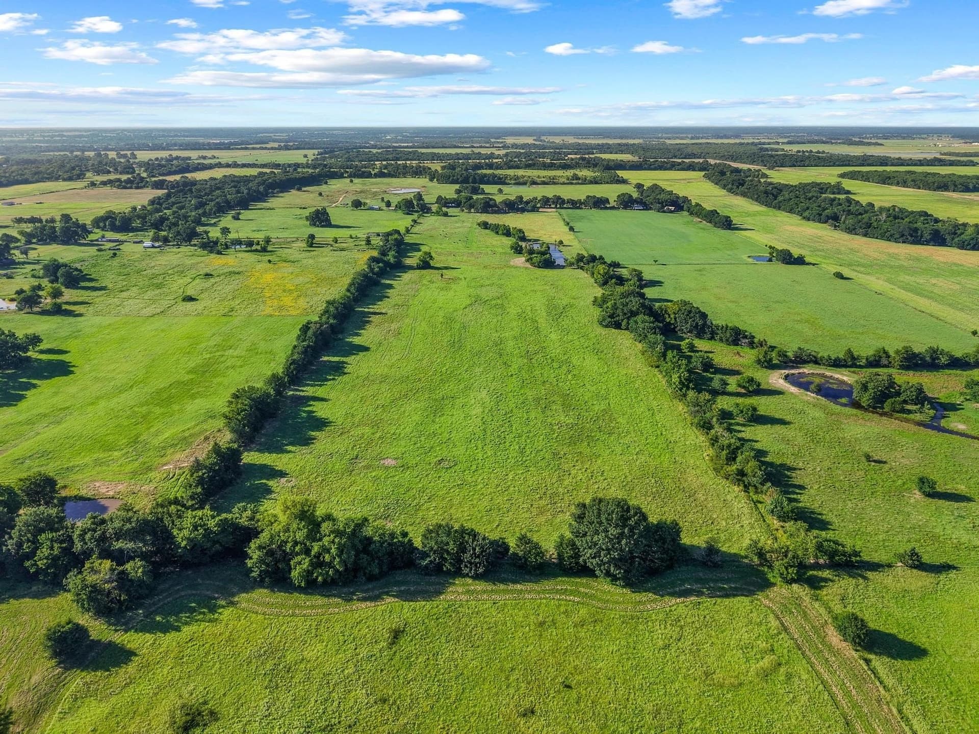 33.33 acres in Fannin County - photo 16