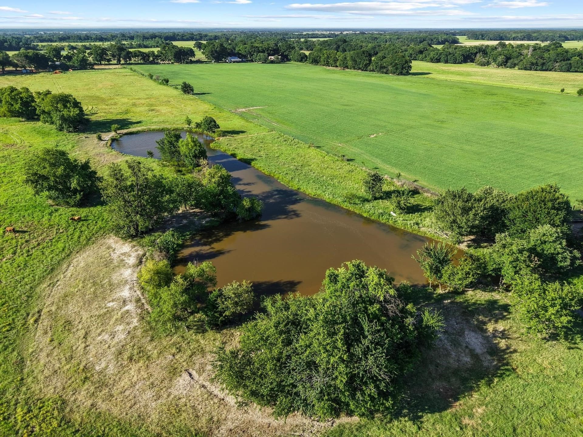 33.33 acres in Fannin County - photo 9
