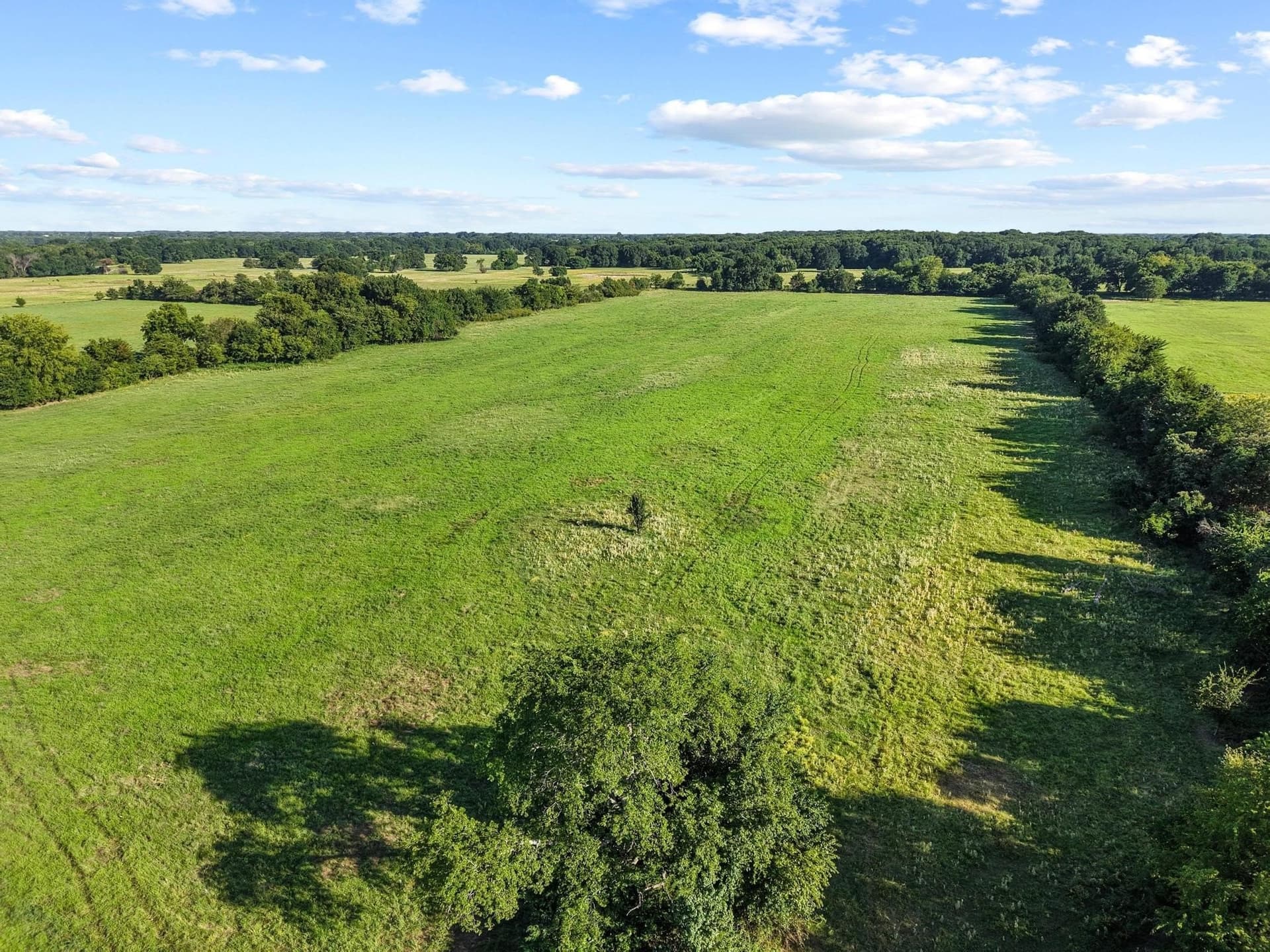33.33 acres in Fannin County - photo 11