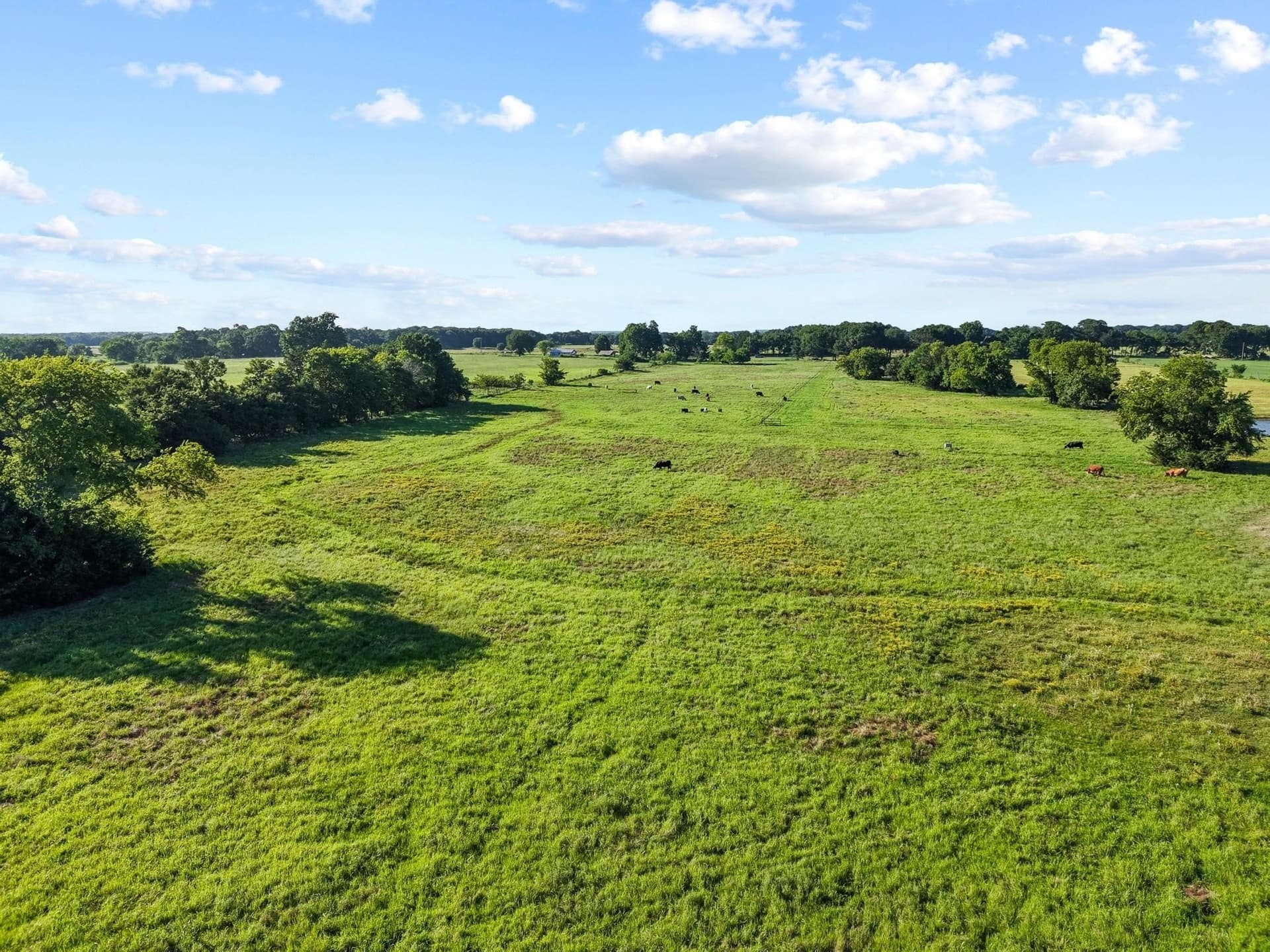 33.33 acres in Fannin County - photo 10