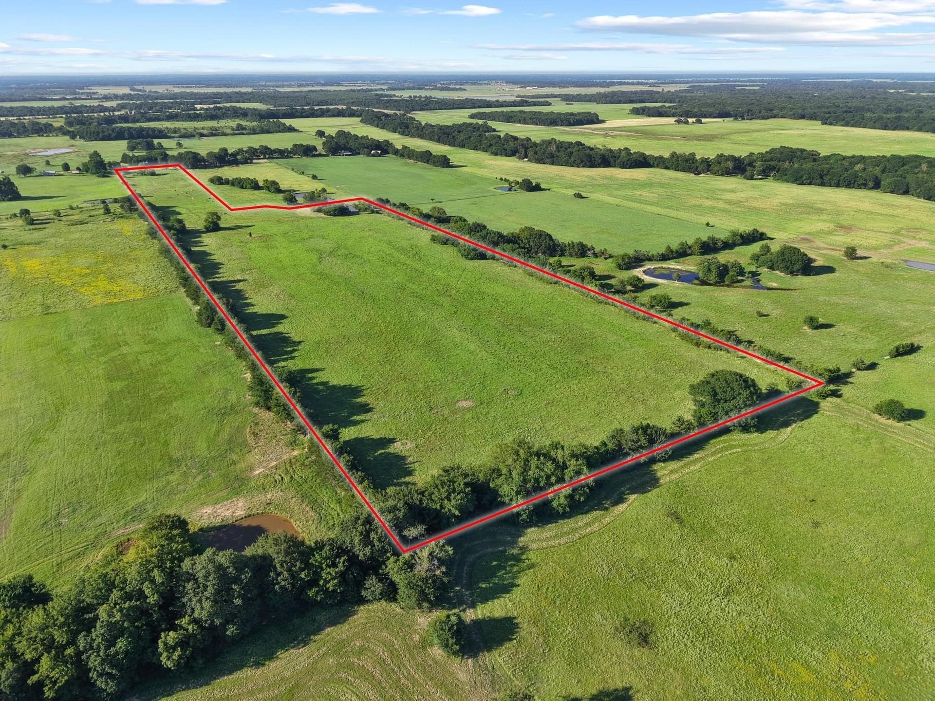 33.33 acres in Fannin County - photo 17
