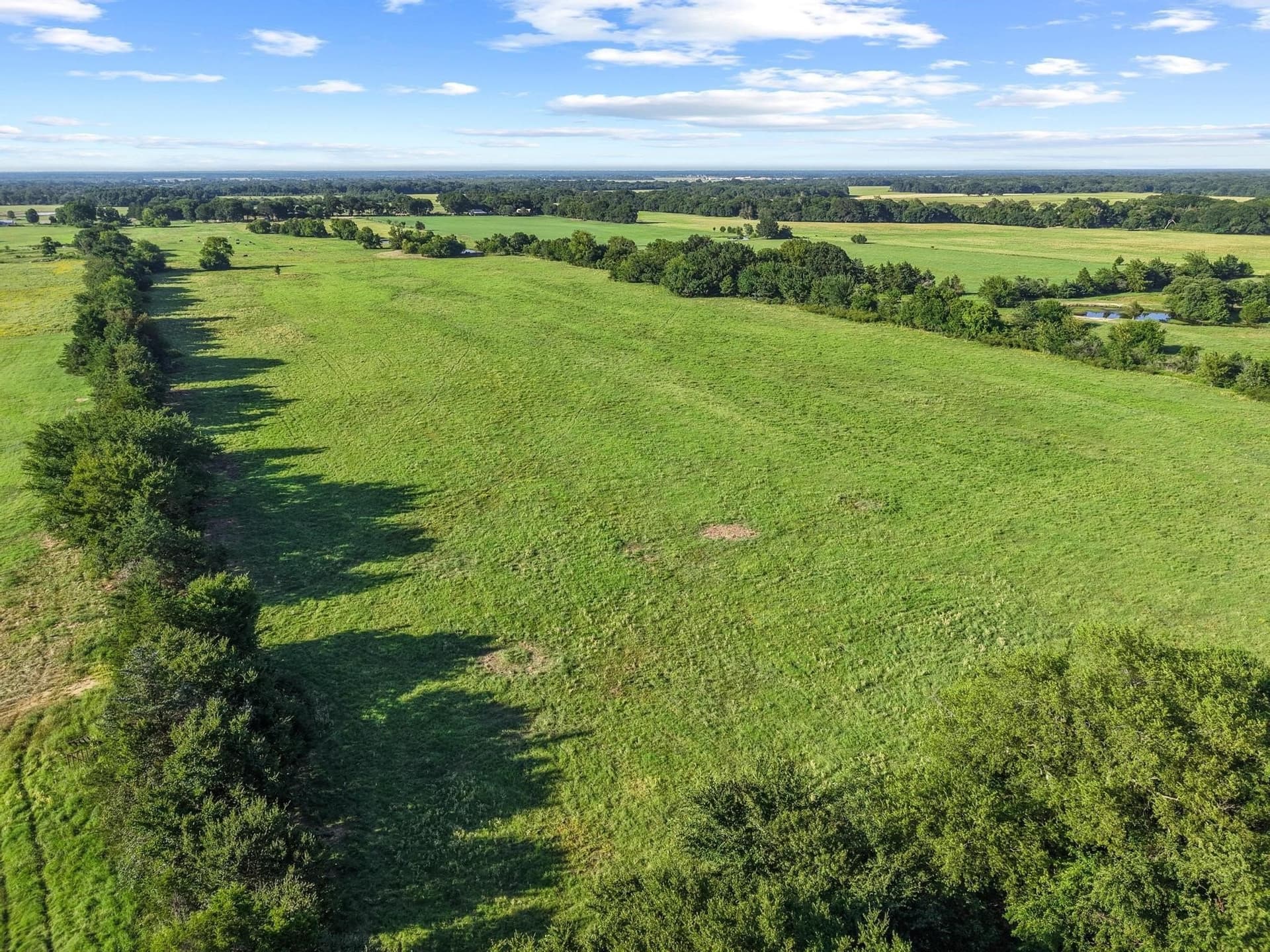 33.33 acres in Fannin County - photo 20