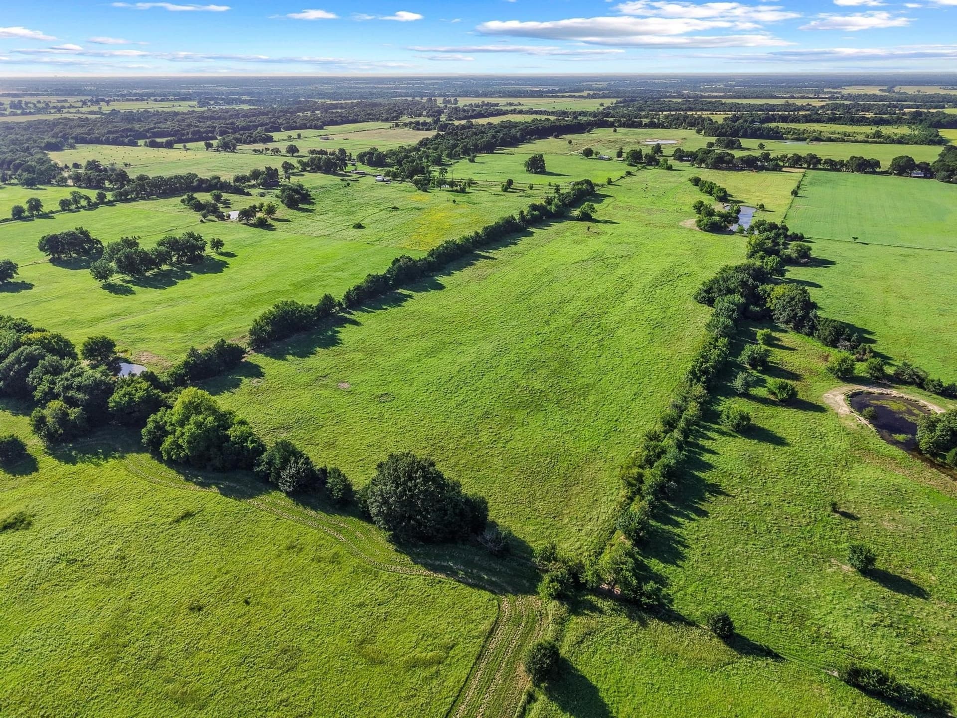 33.33 acres in Fannin County - photo 14