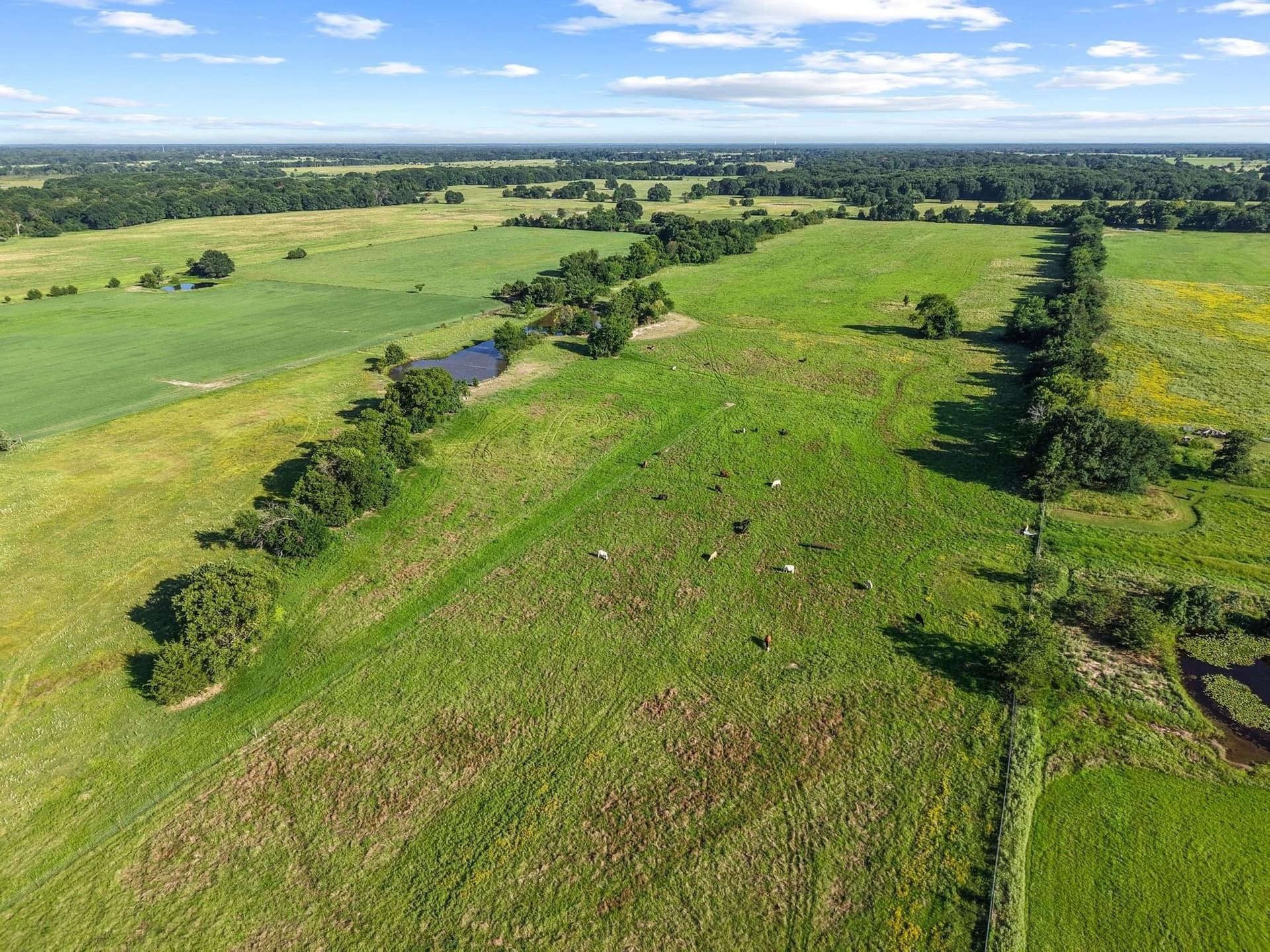 33.33 acres in Fannin County - photo 8