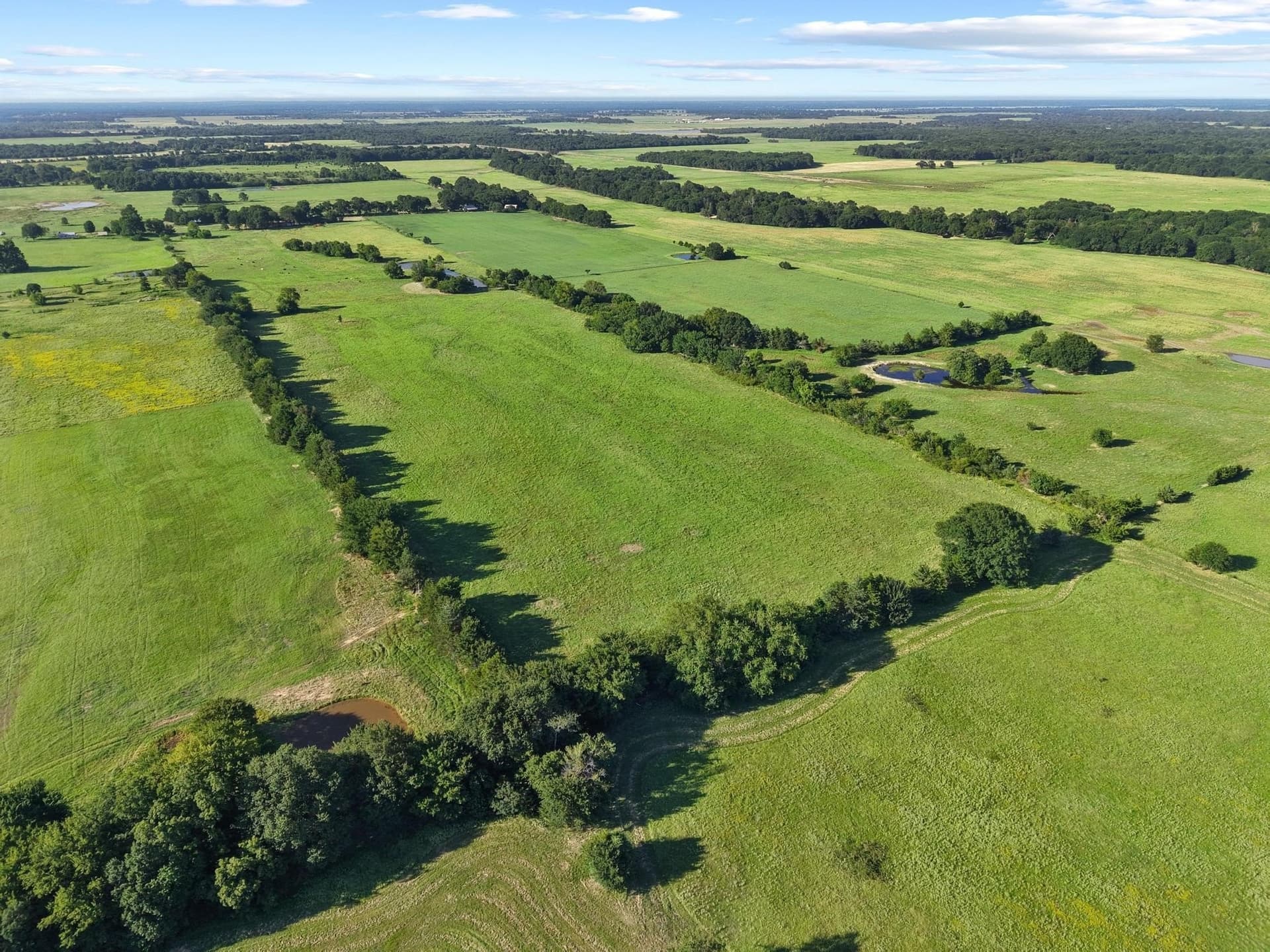 33.33 acres in Fannin County - photo 18