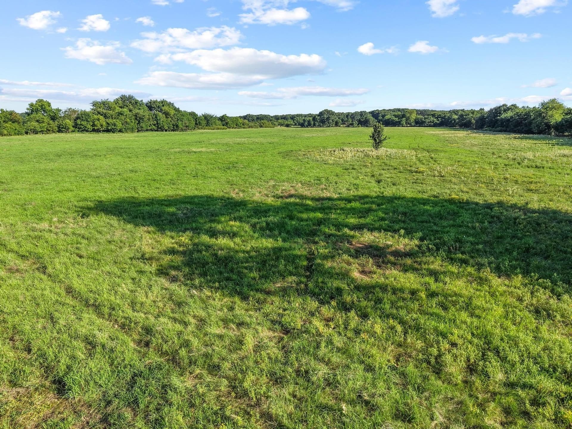 33.33 acres in Fannin County - photo 23