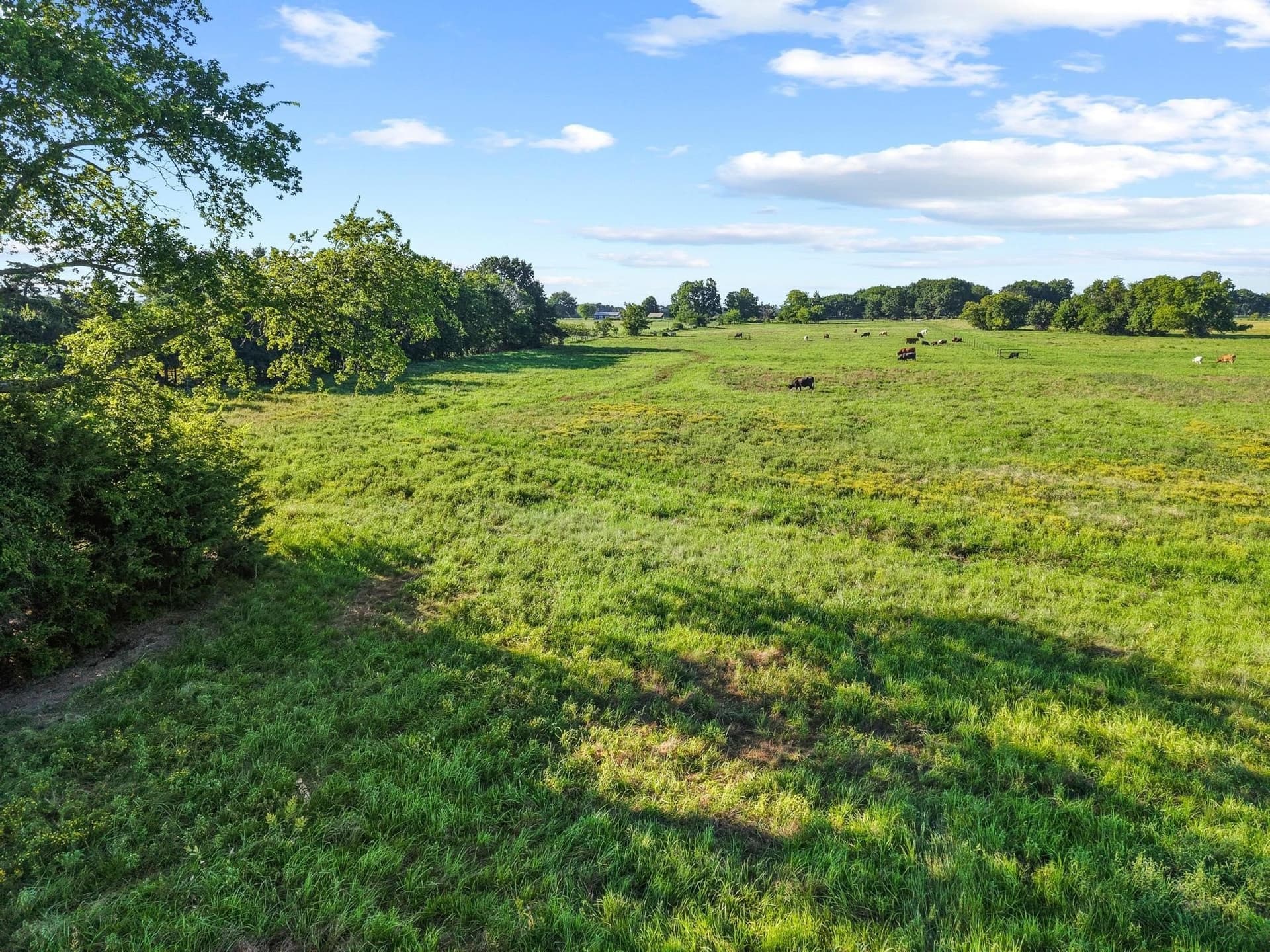33.33 acres in Fannin County - photo 22