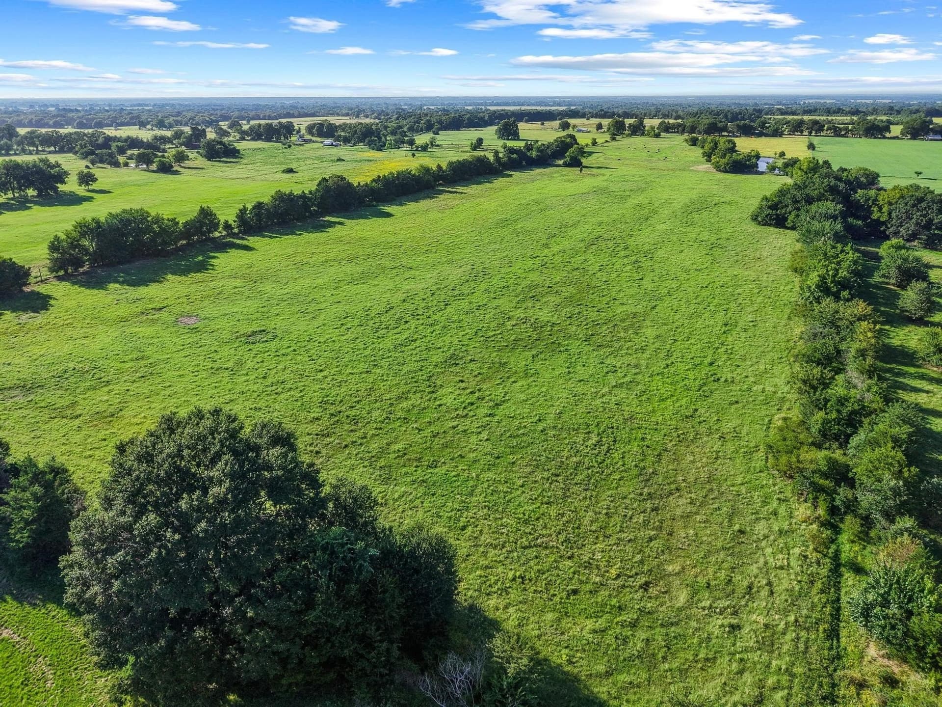 33.33 acres in Fannin County - photo 19