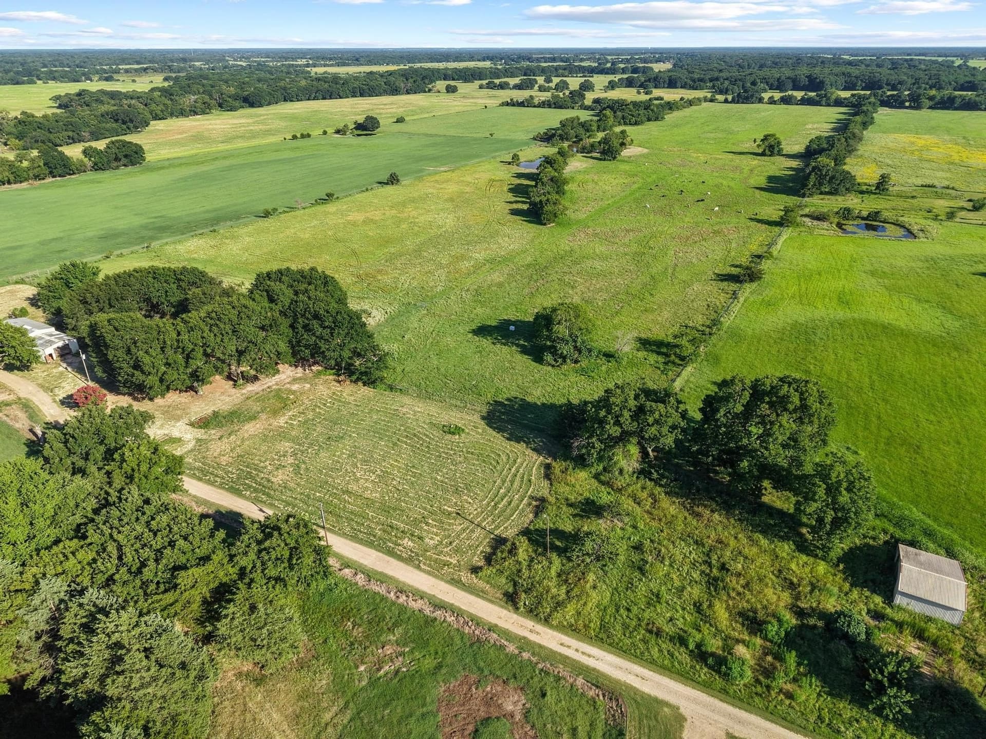 33.33 acres in Fannin County - photo 7