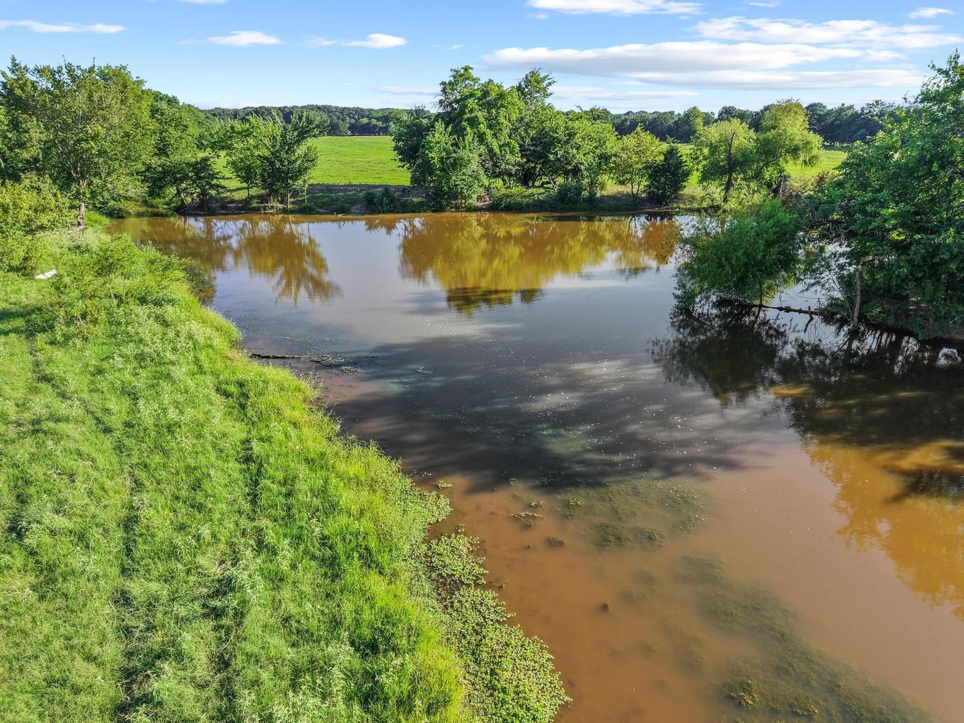 33.33 acres in Fannin County - photo 24