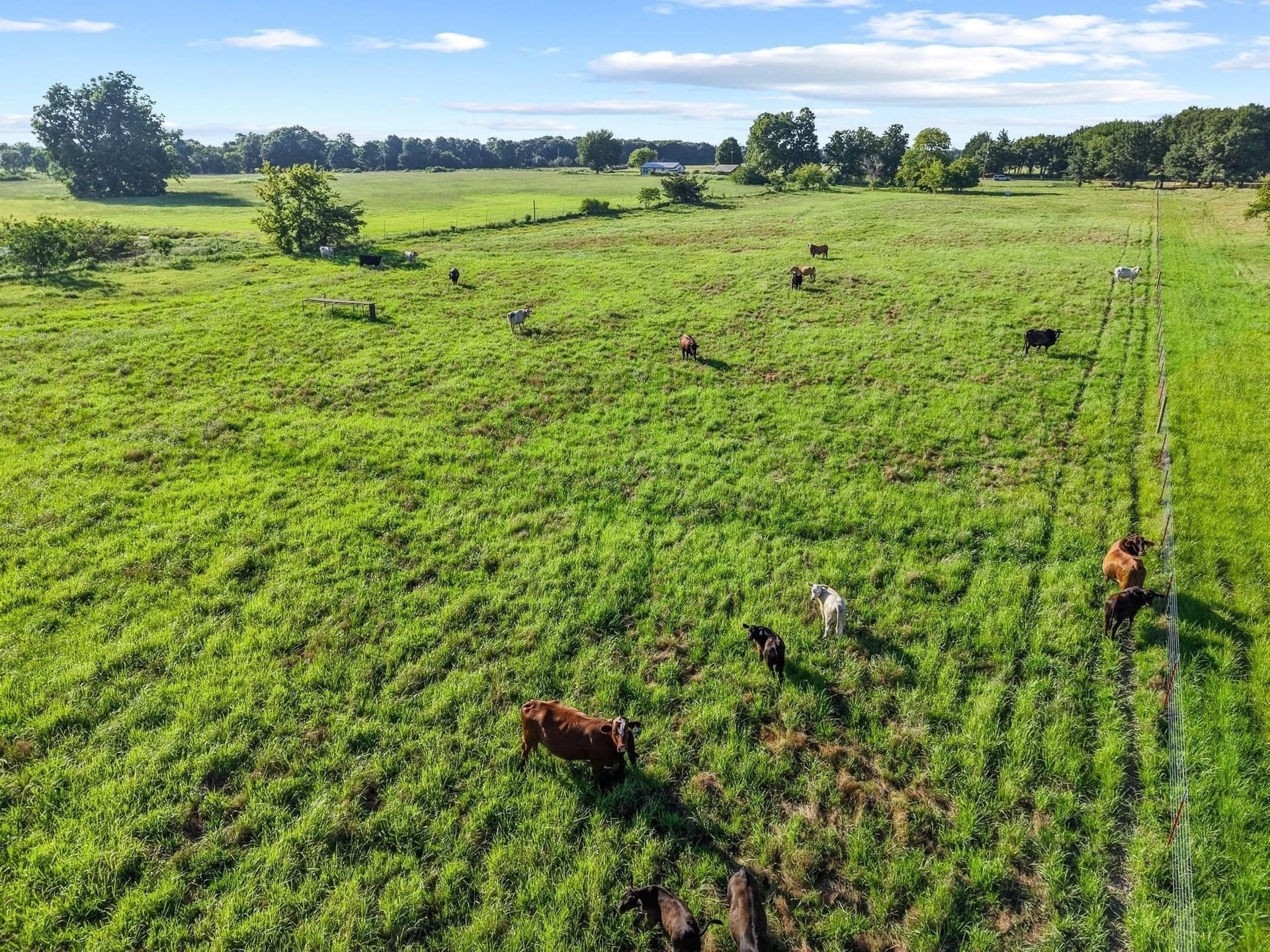 33.33 acres in Fannin County - photo 25