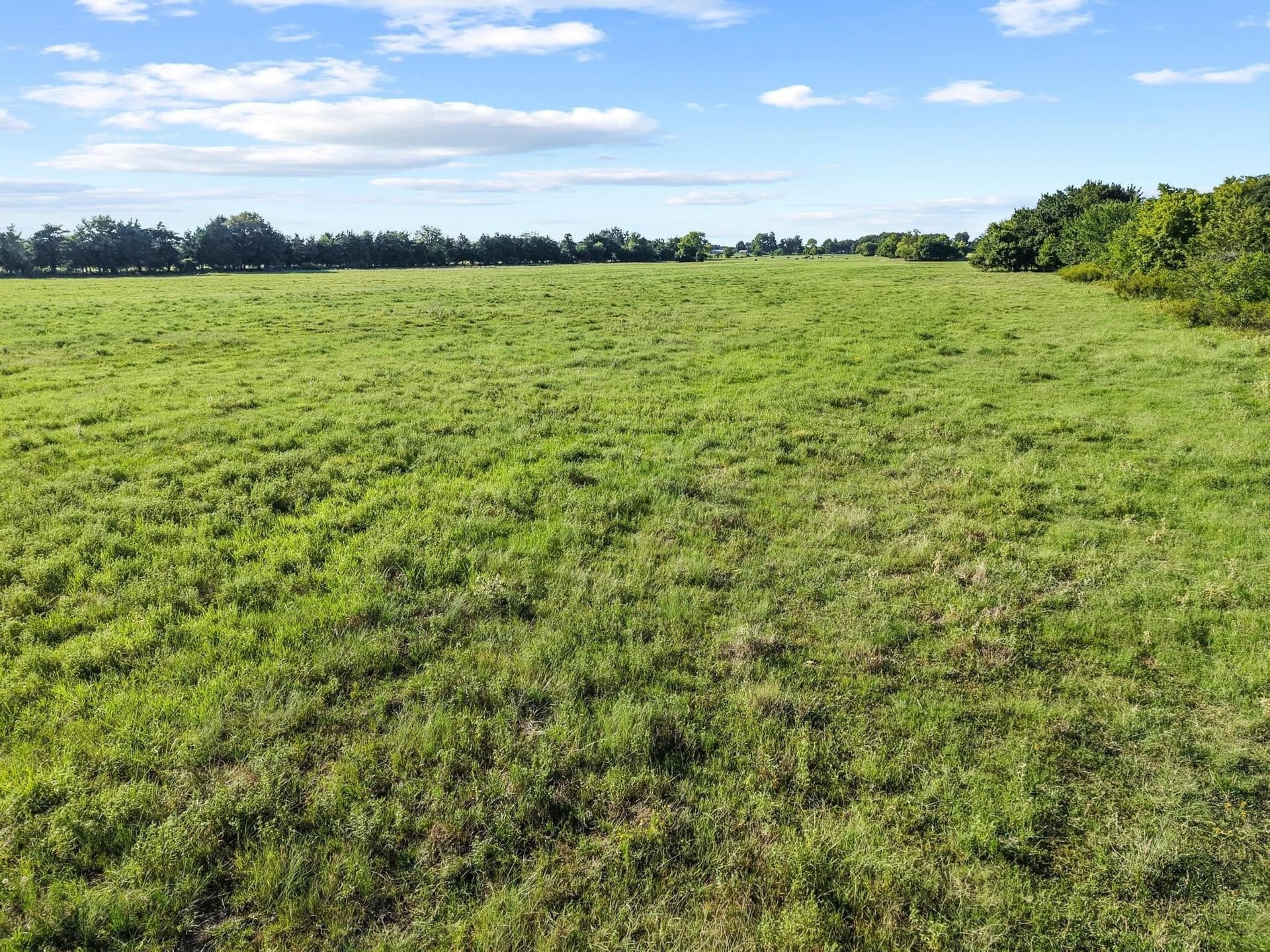 33.33 acres in Fannin County - photo 21