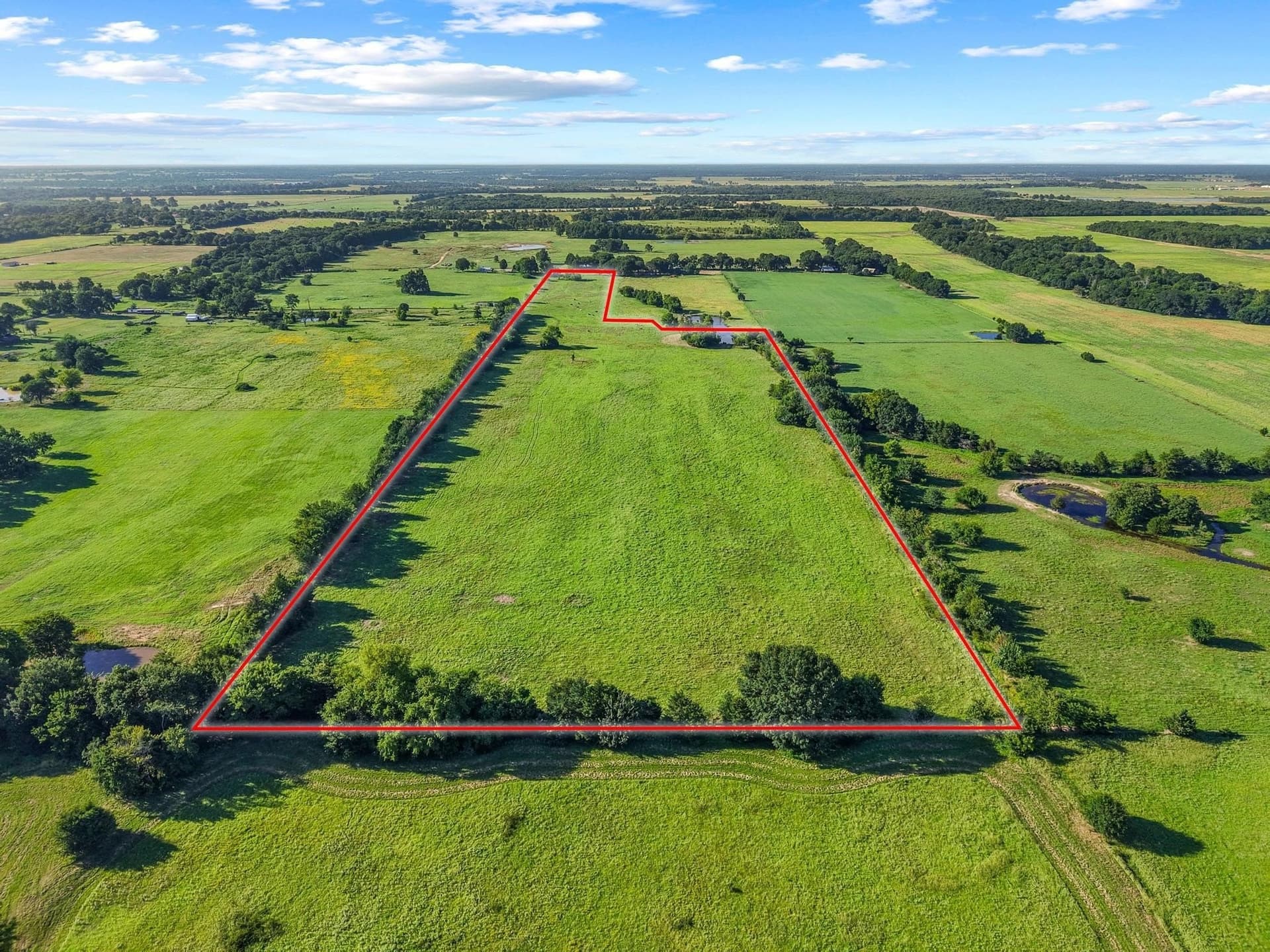 33.33 acres in Fannin County - photo 15