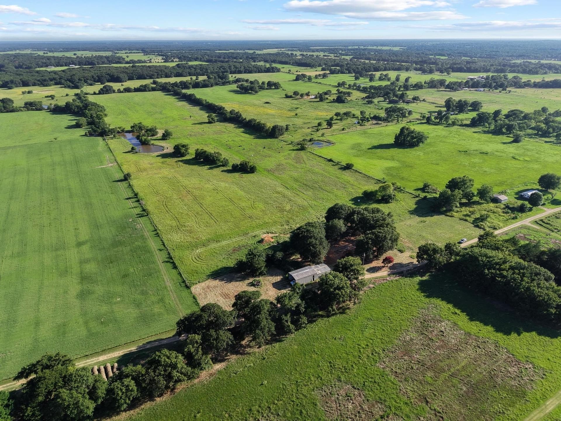 33.33 acres in Fannin County - photo 6