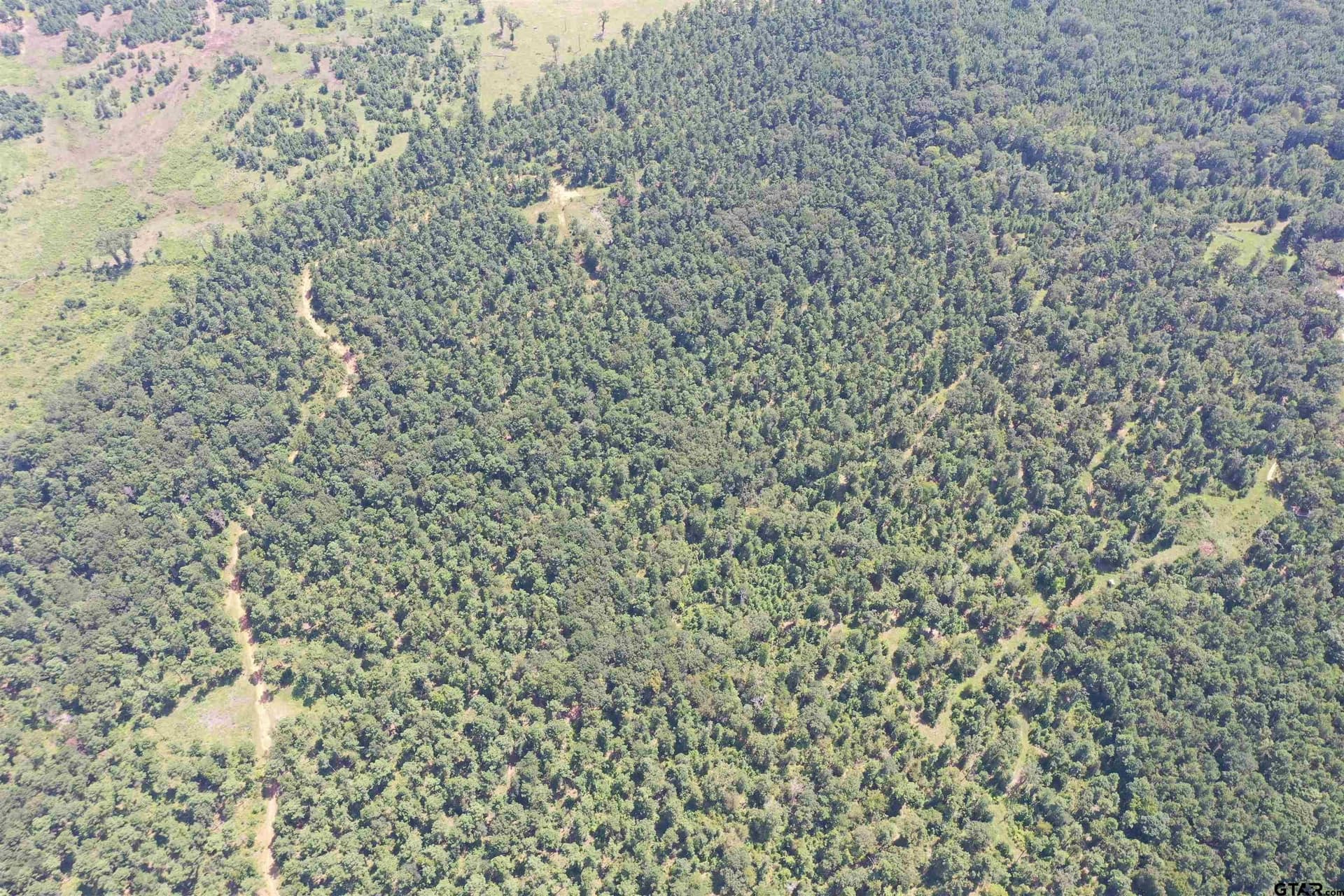 126.42 acres in Cherokee County gallery image 2