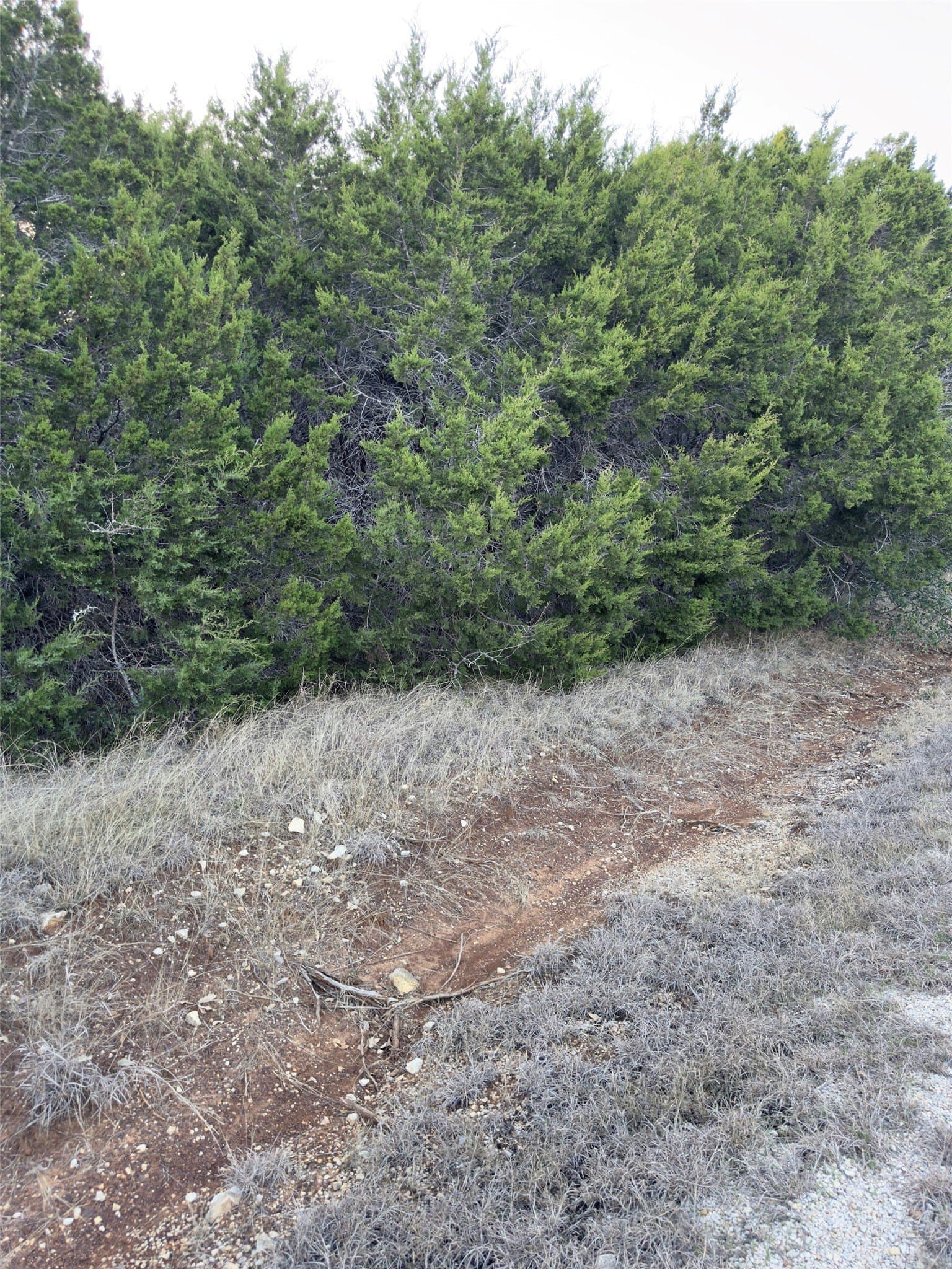 0.26 acres in Hill County - photo 3