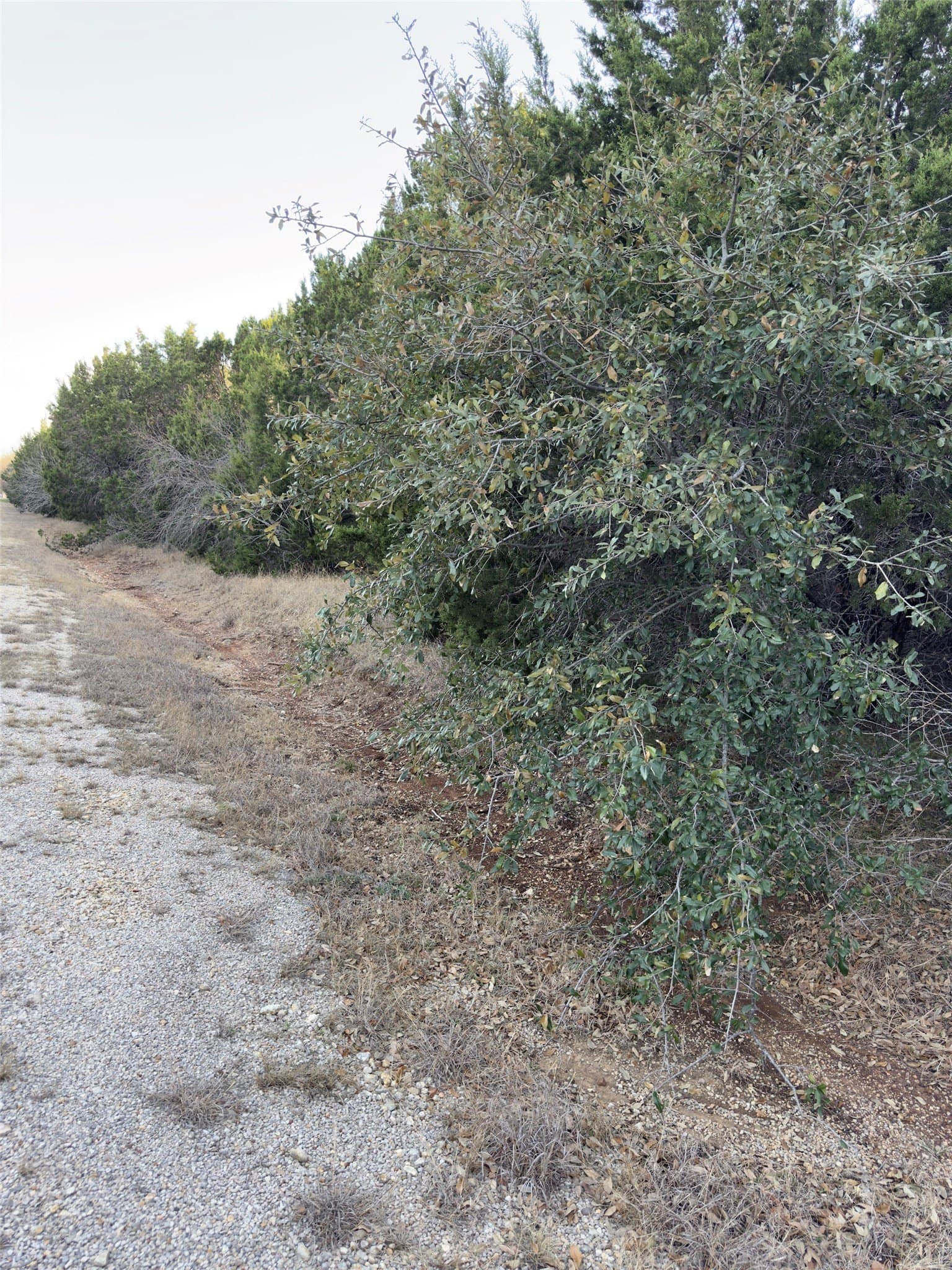 0.26 acres in Hill County - photo 4