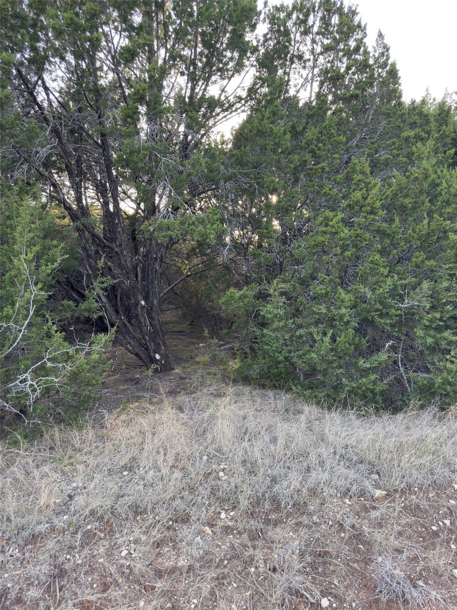 0.26 acres in Hill County - photo 2