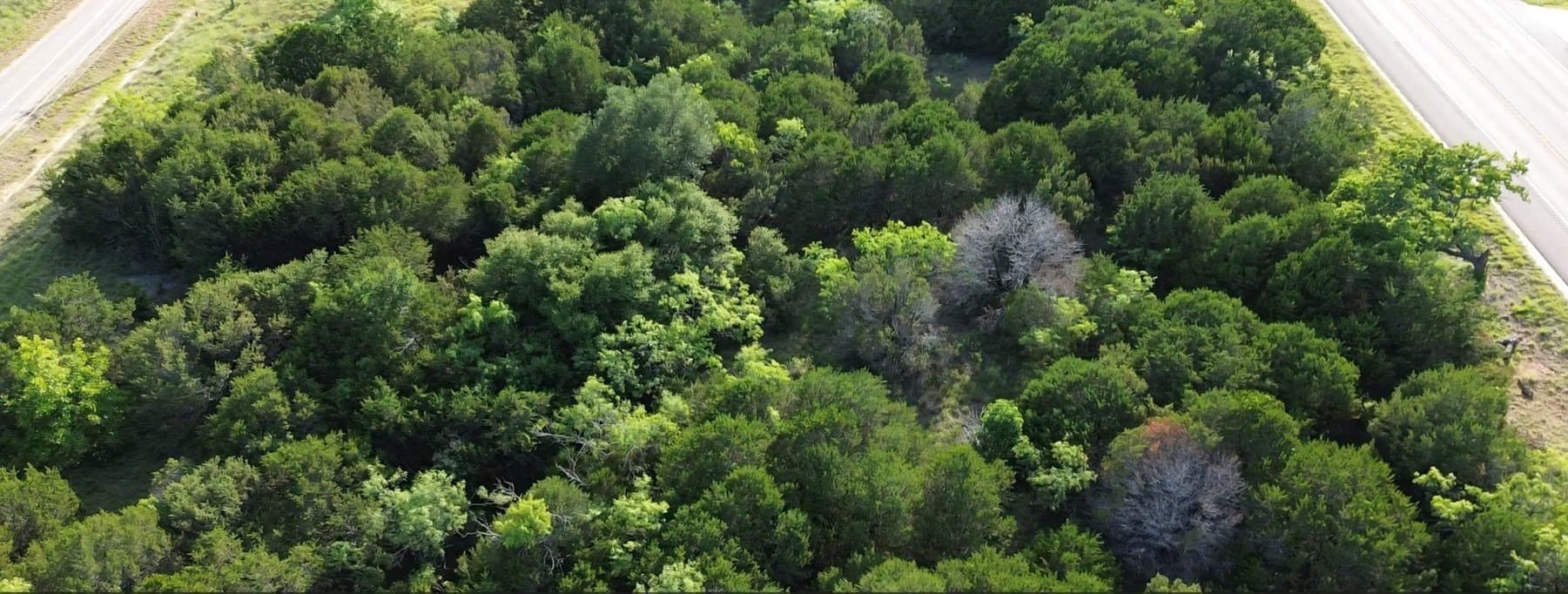 7.41 acres in Somervell County - photo 8