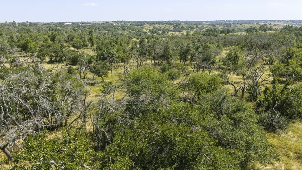 17.53 acres in Gillespie County - photo 8