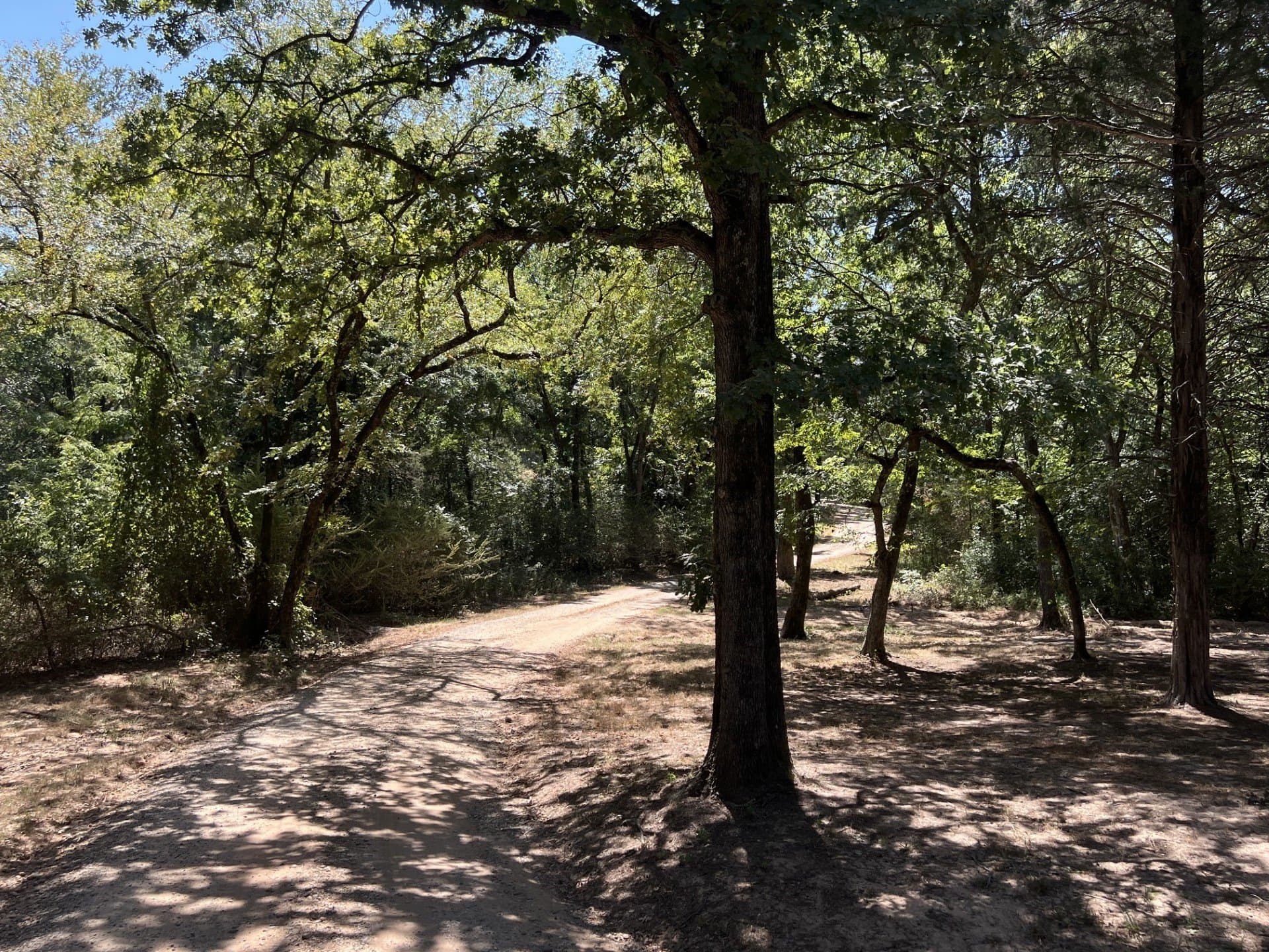 15 acres in Fannin County - photo 30