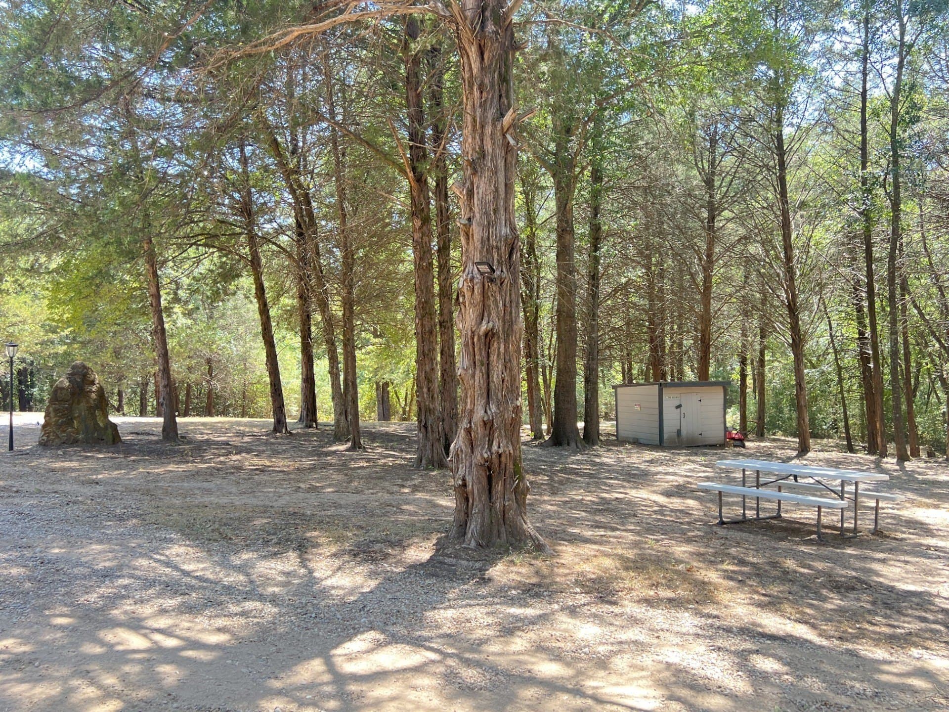 15 acres in Fannin County - photo 31
