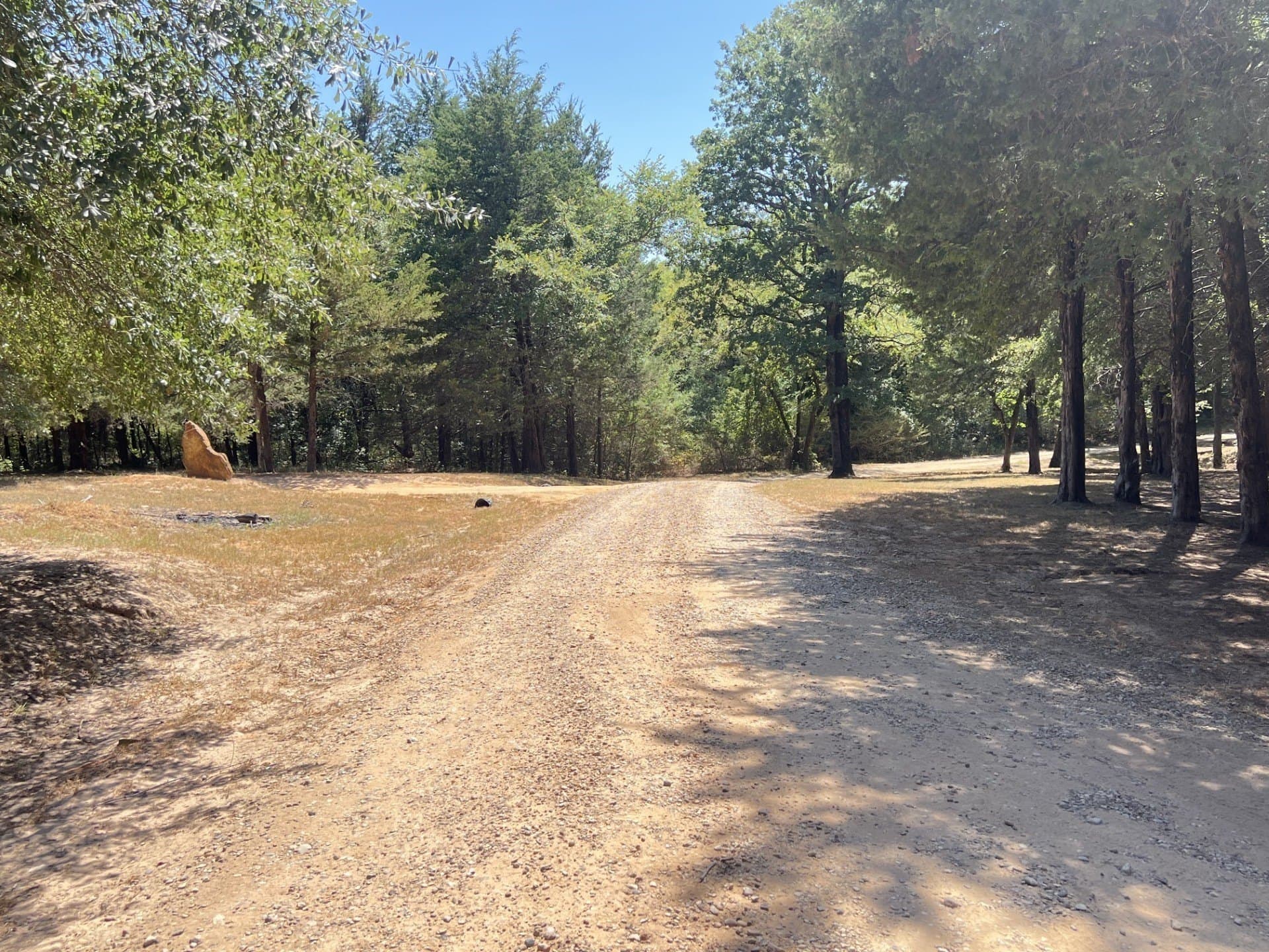 15 acres in Fannin County - photo 29