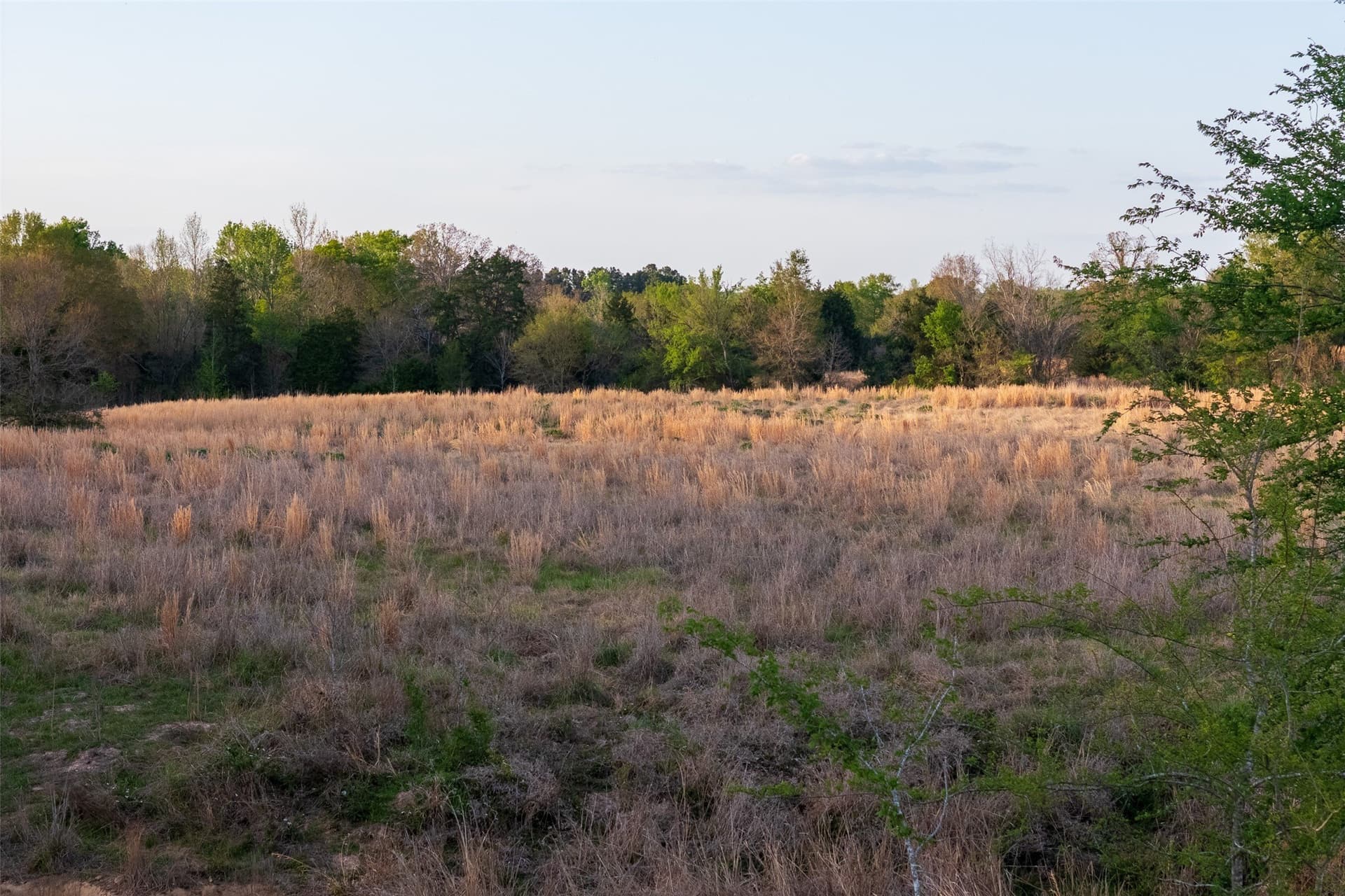 29 acres in Anderson County - photo 19