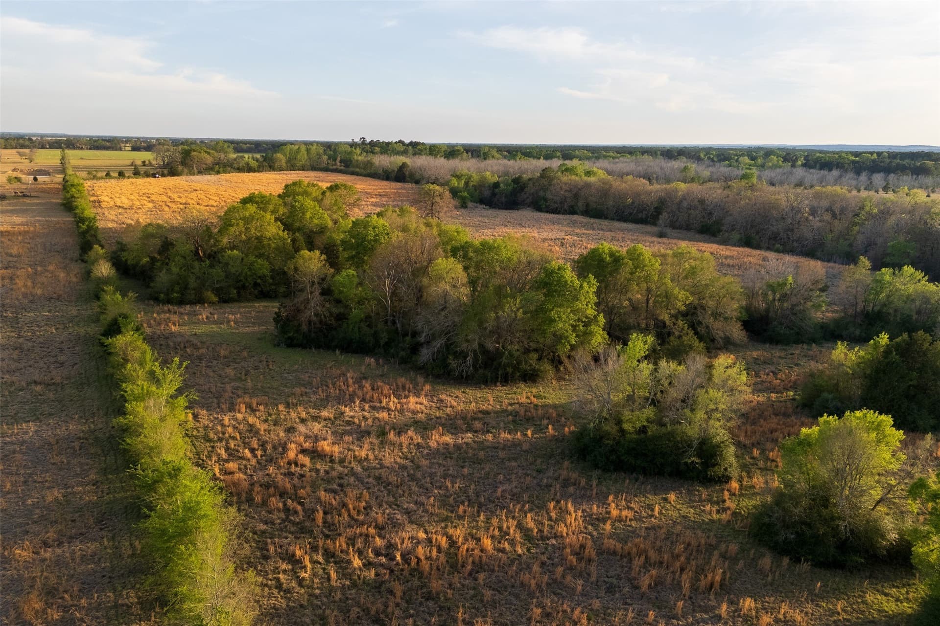 29 acres in Anderson County - photo 4