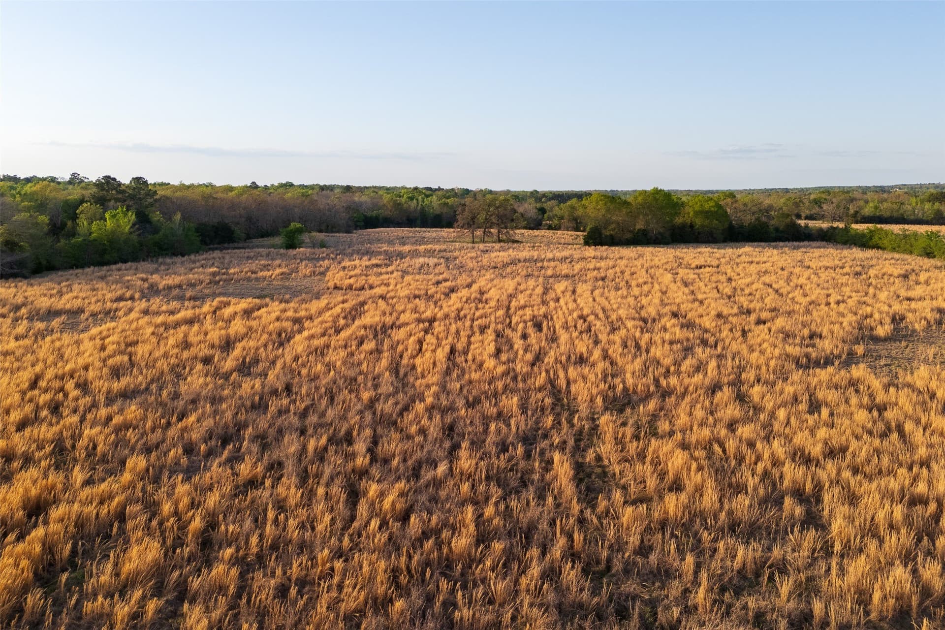 29 acres in Anderson County - photo 17