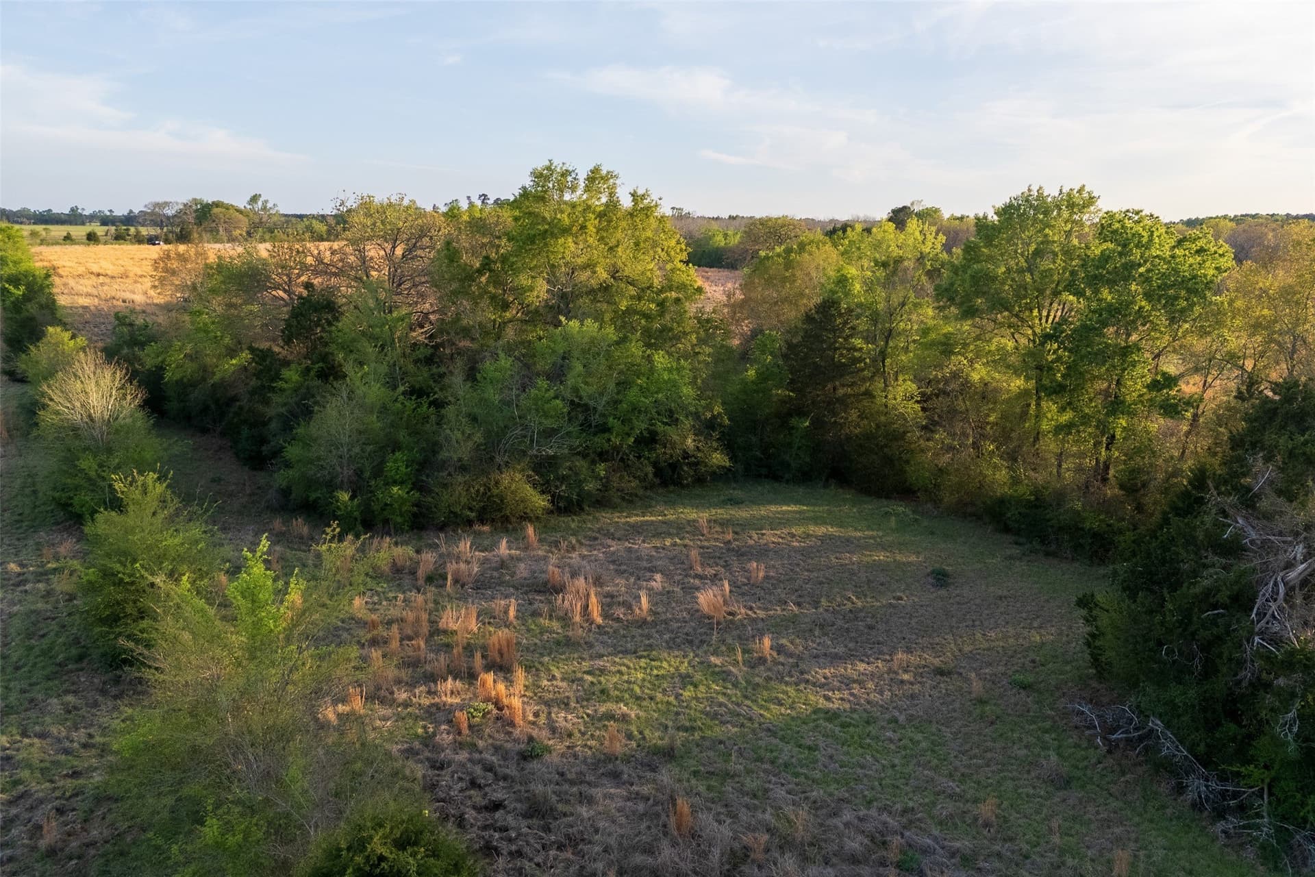 29 acres in Anderson County - photo 7