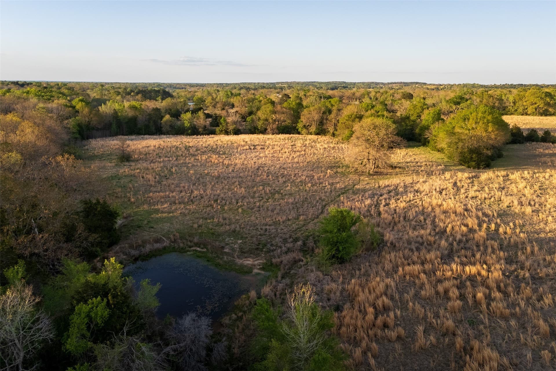 29 acres in Anderson County - photo 9