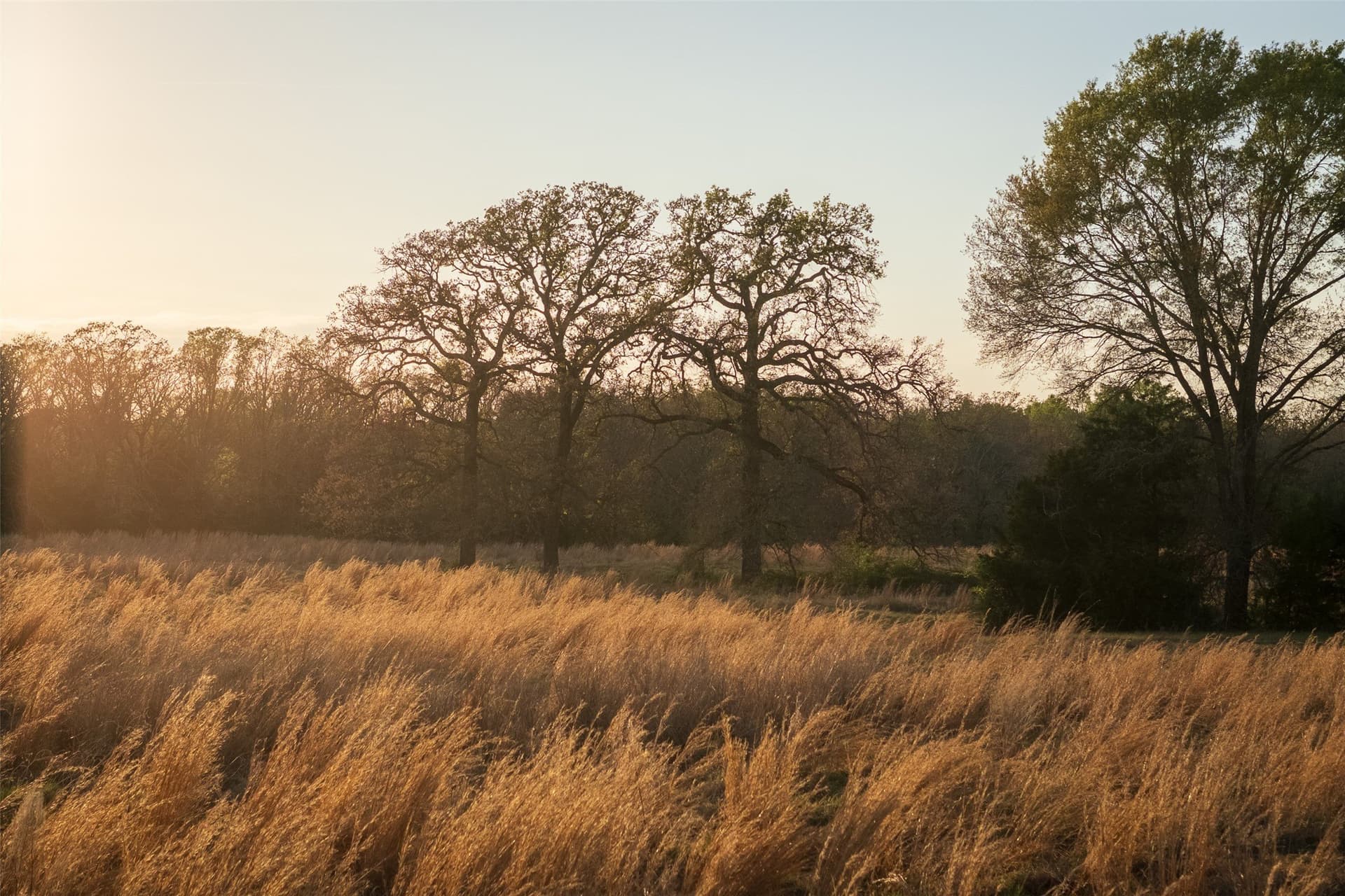 29 acres in Anderson County - photo 14