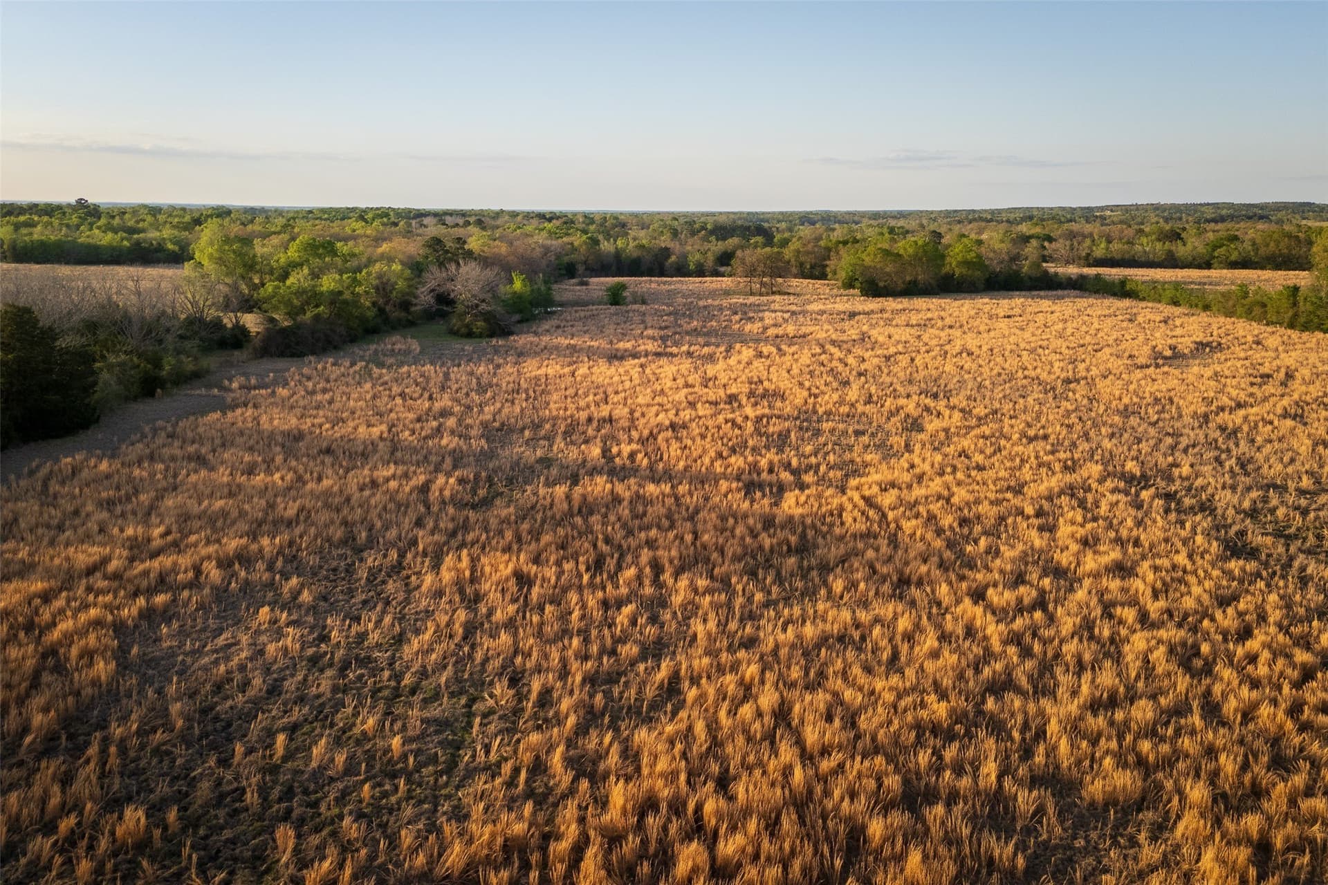 29 acres in Anderson County - photo 10