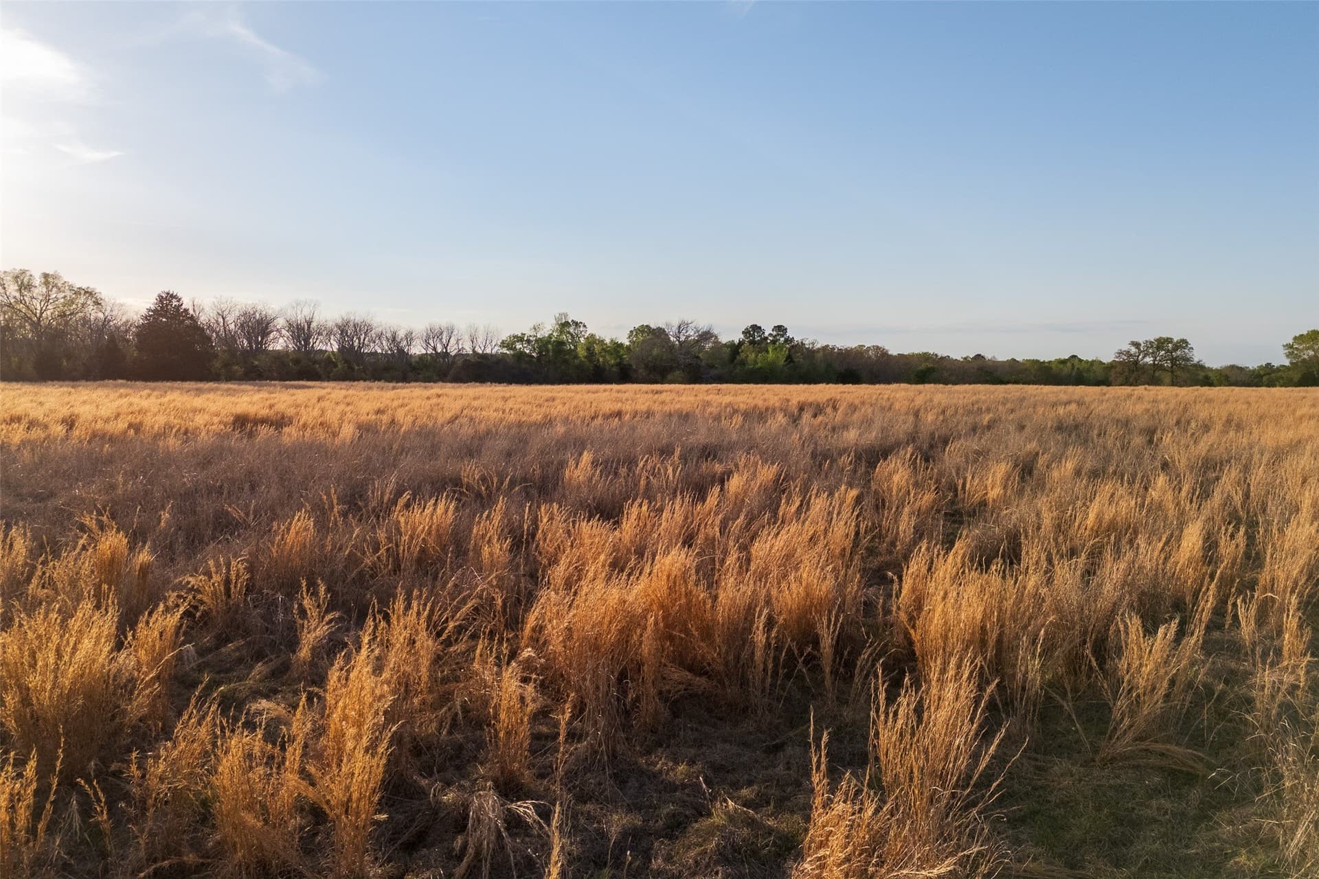 29 acres in Anderson County - photo 16