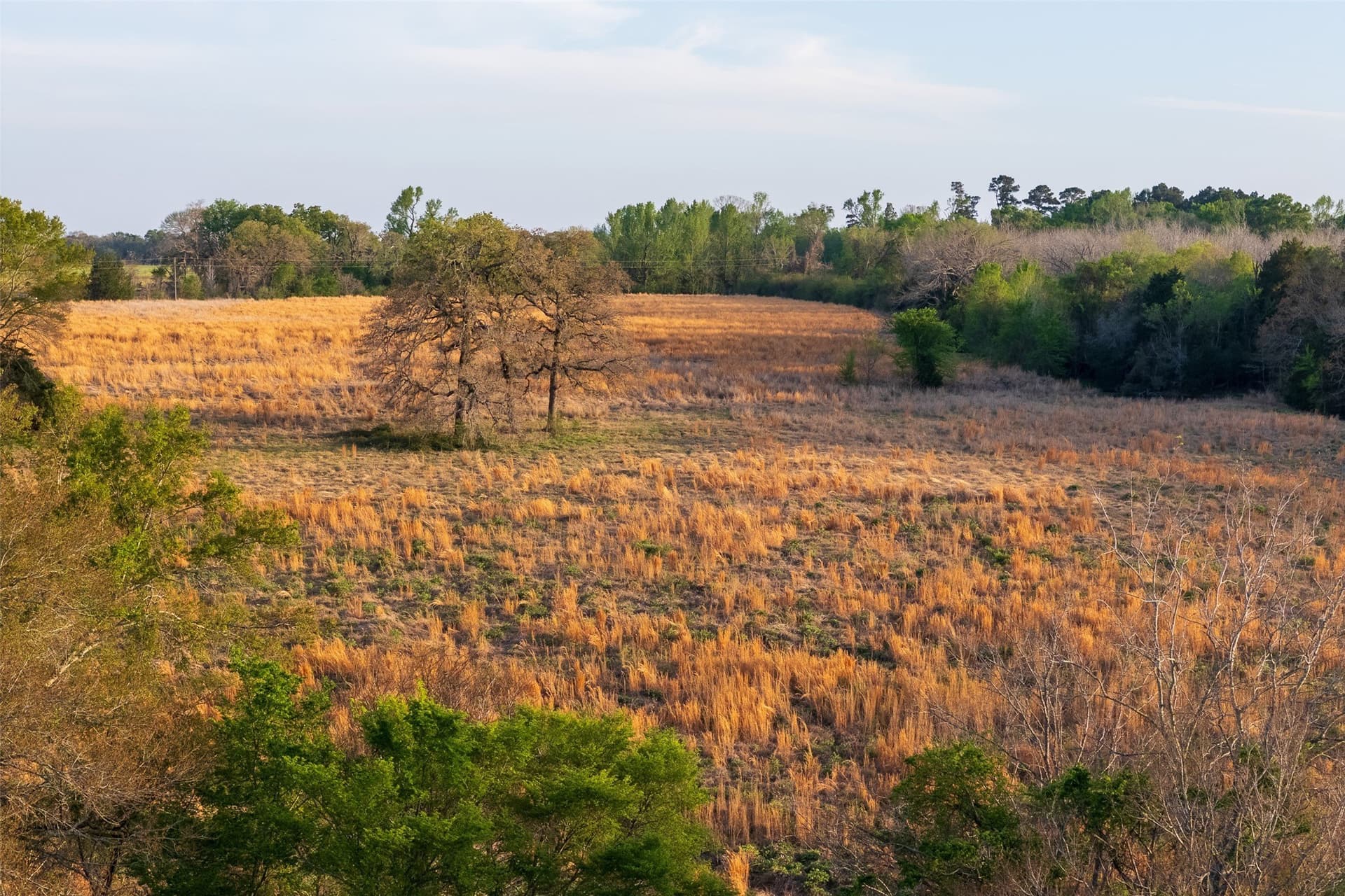 29 acres in Anderson County - photo 3