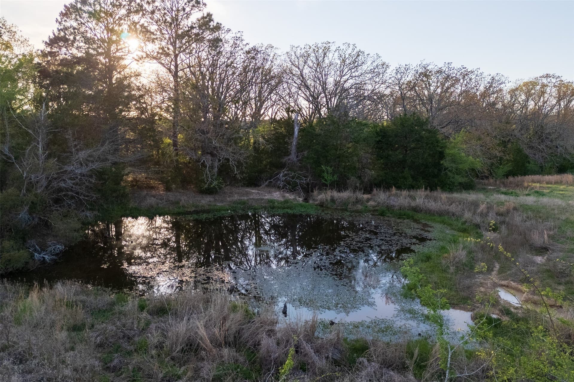 29 acres in Anderson County - photo 15
