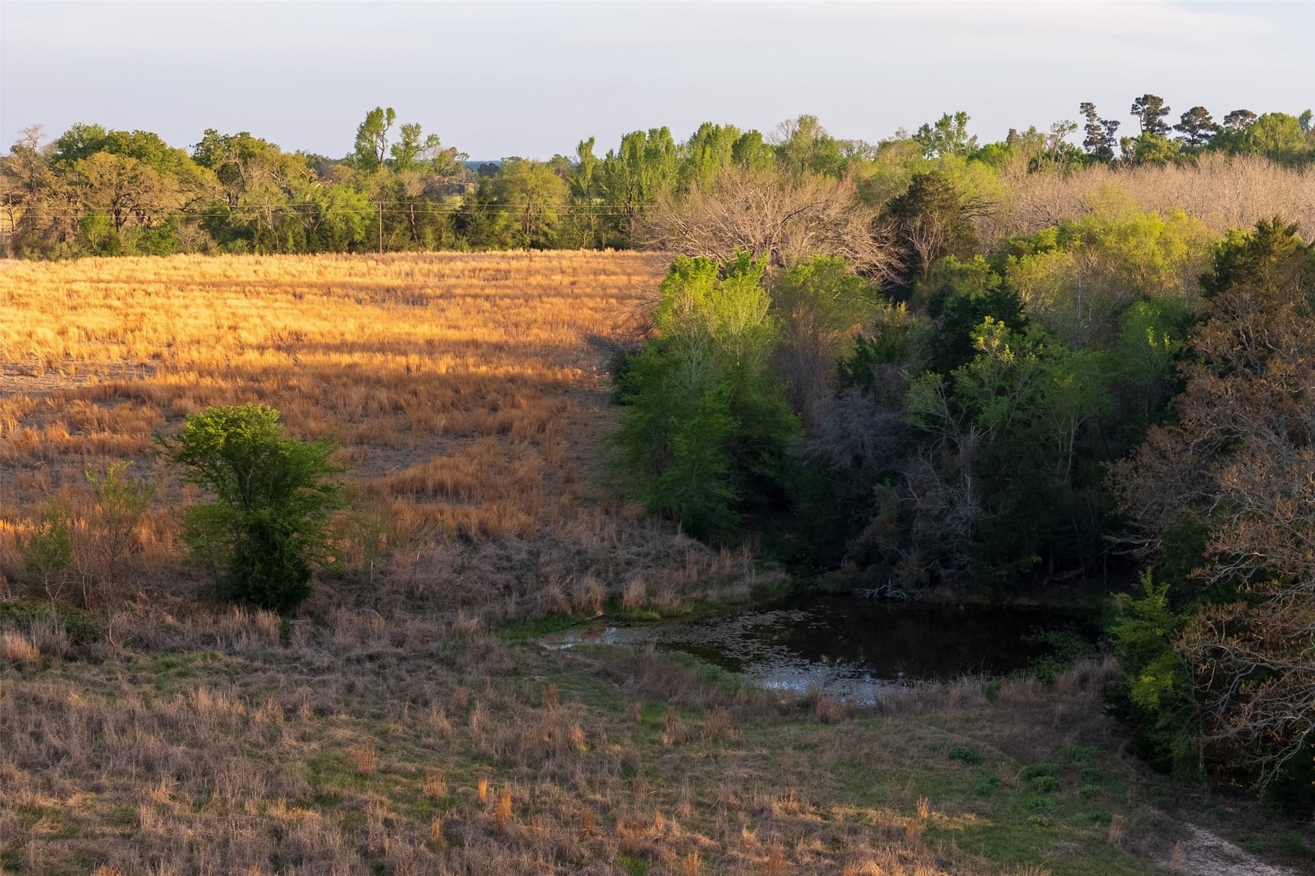 29 acres in Anderson County - photo 8