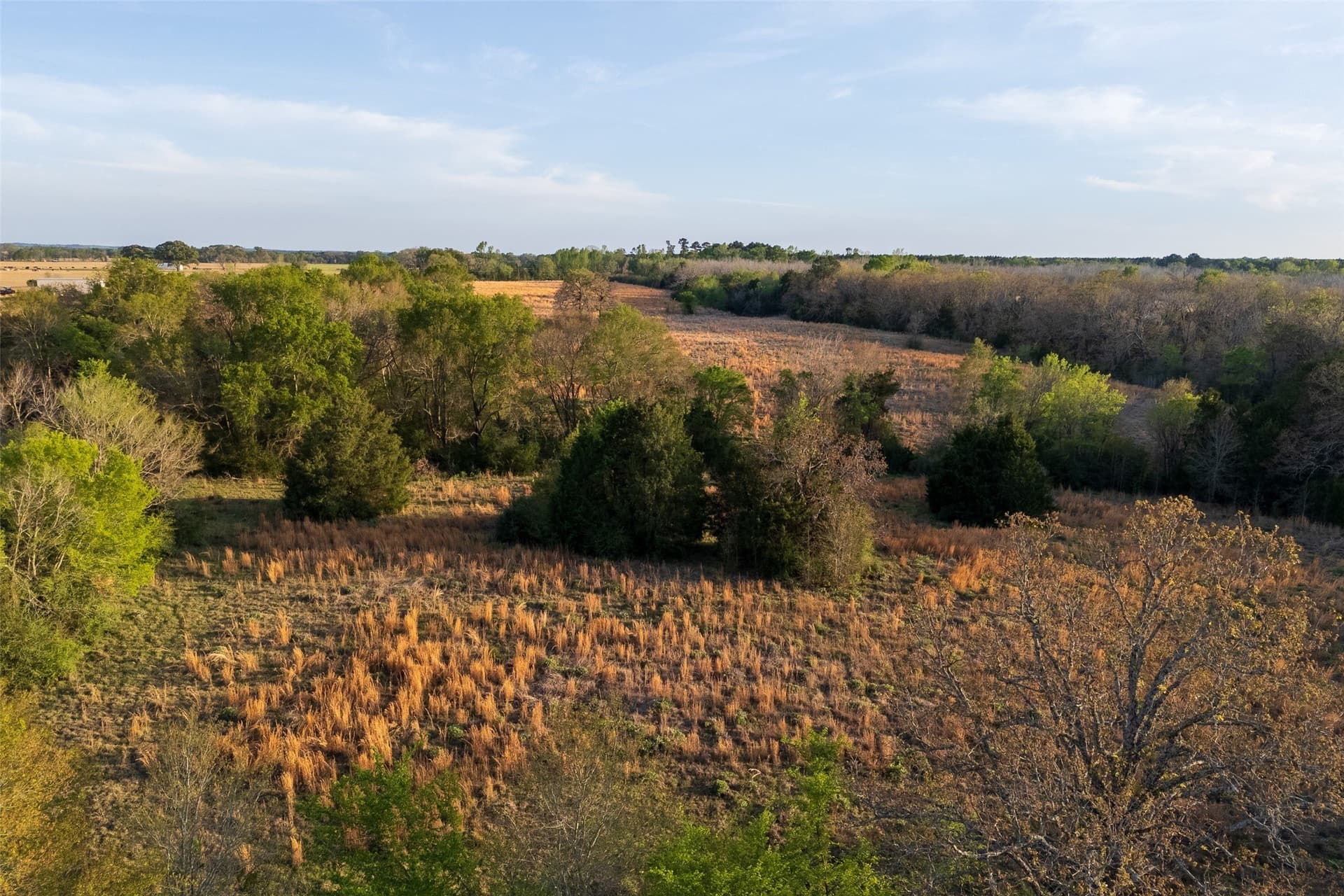 29 acres in Anderson County - photo 2