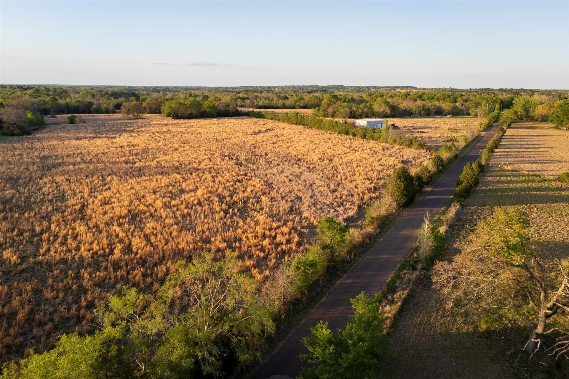29 acres in Anderson County - photo 22