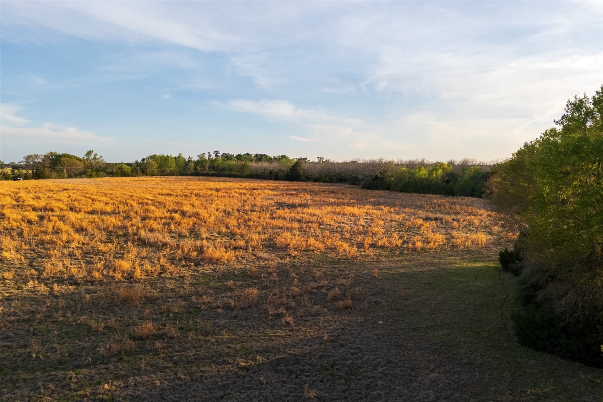 29 acres in Anderson County - photo 12