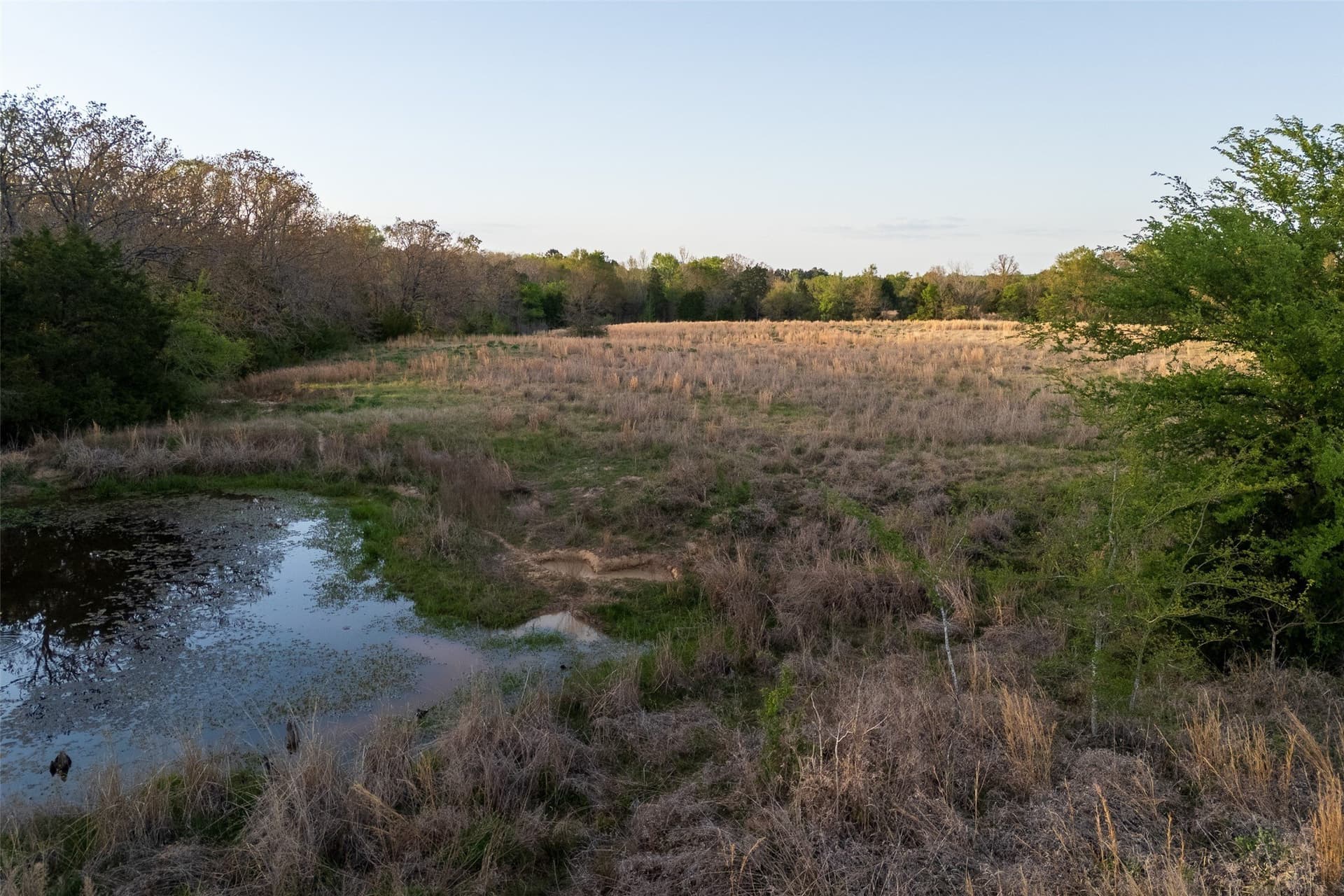 29 acres in Anderson County - photo 18