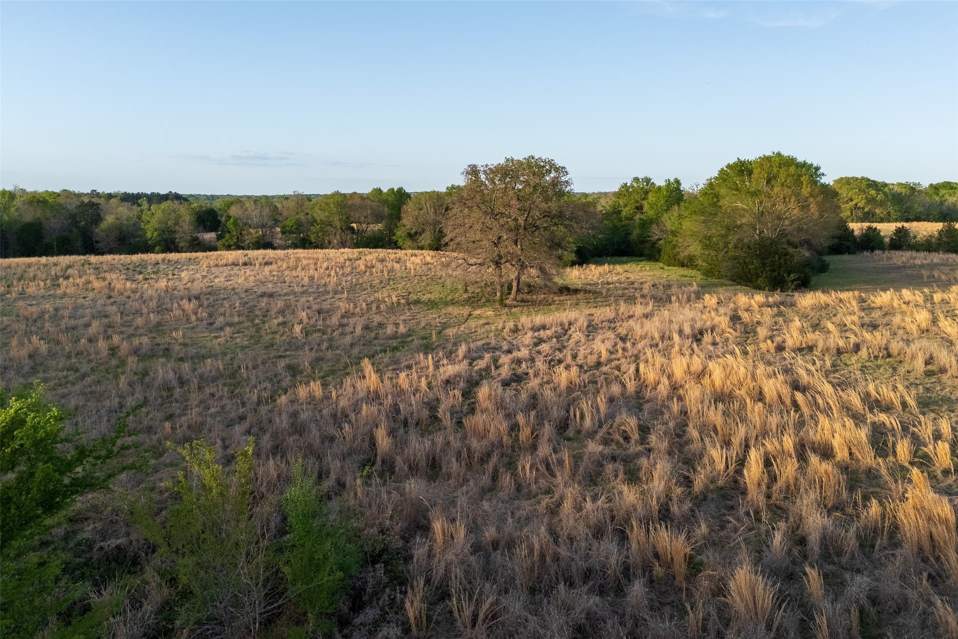 29 acres in Anderson County - photo 20