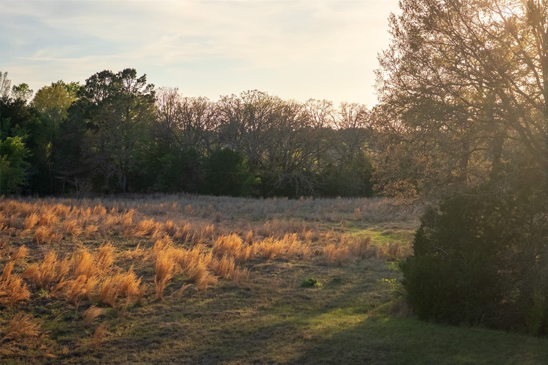 29 acres in Anderson County - photo 13